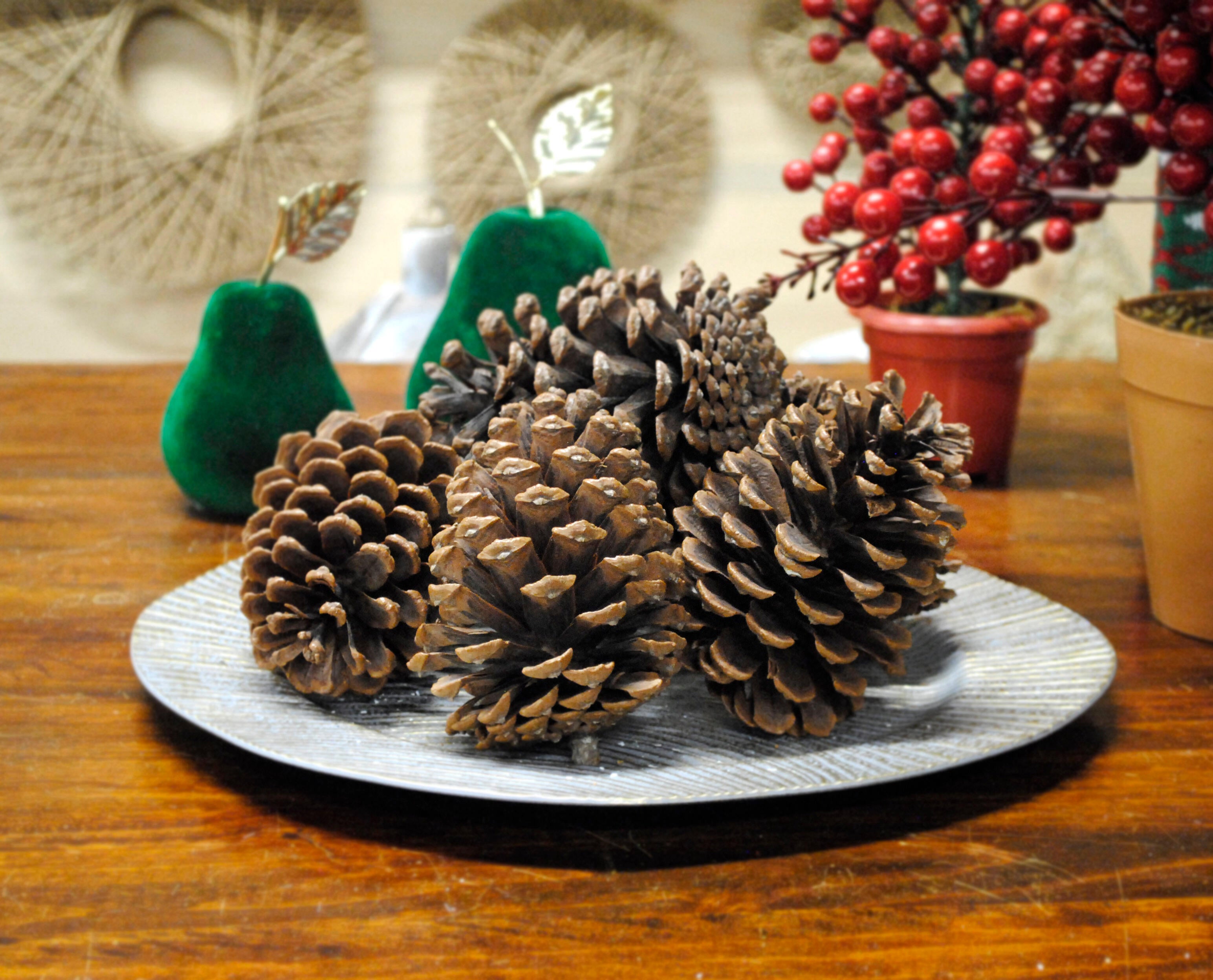 Set di 6 pigne marroni - 2