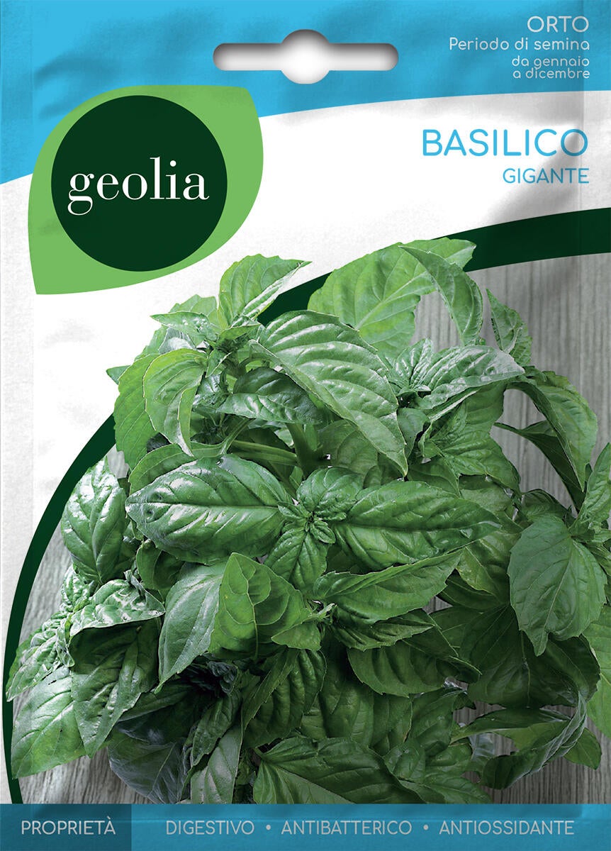 Semi di basilico gigante GEOLIA 0.01 g - 2