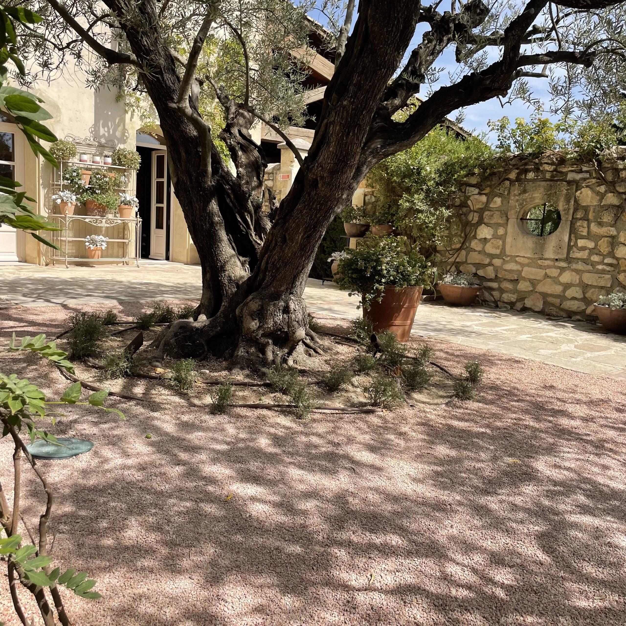 Bigbag gravillons calcaire rose 8/14mm, 350 kg - 4