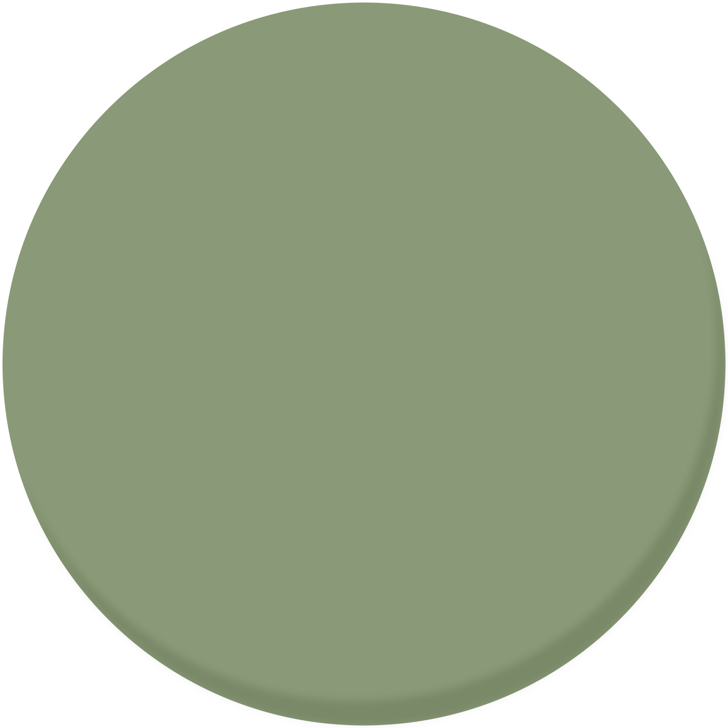 Esmalte antioxidante lisa brilhante 8 anos 0,25L cinza verde claro Luxens - 4