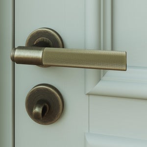 Poignée de porte intérieure VEGA en laiton poli, design, sur rosace BdC | Poignée de porte