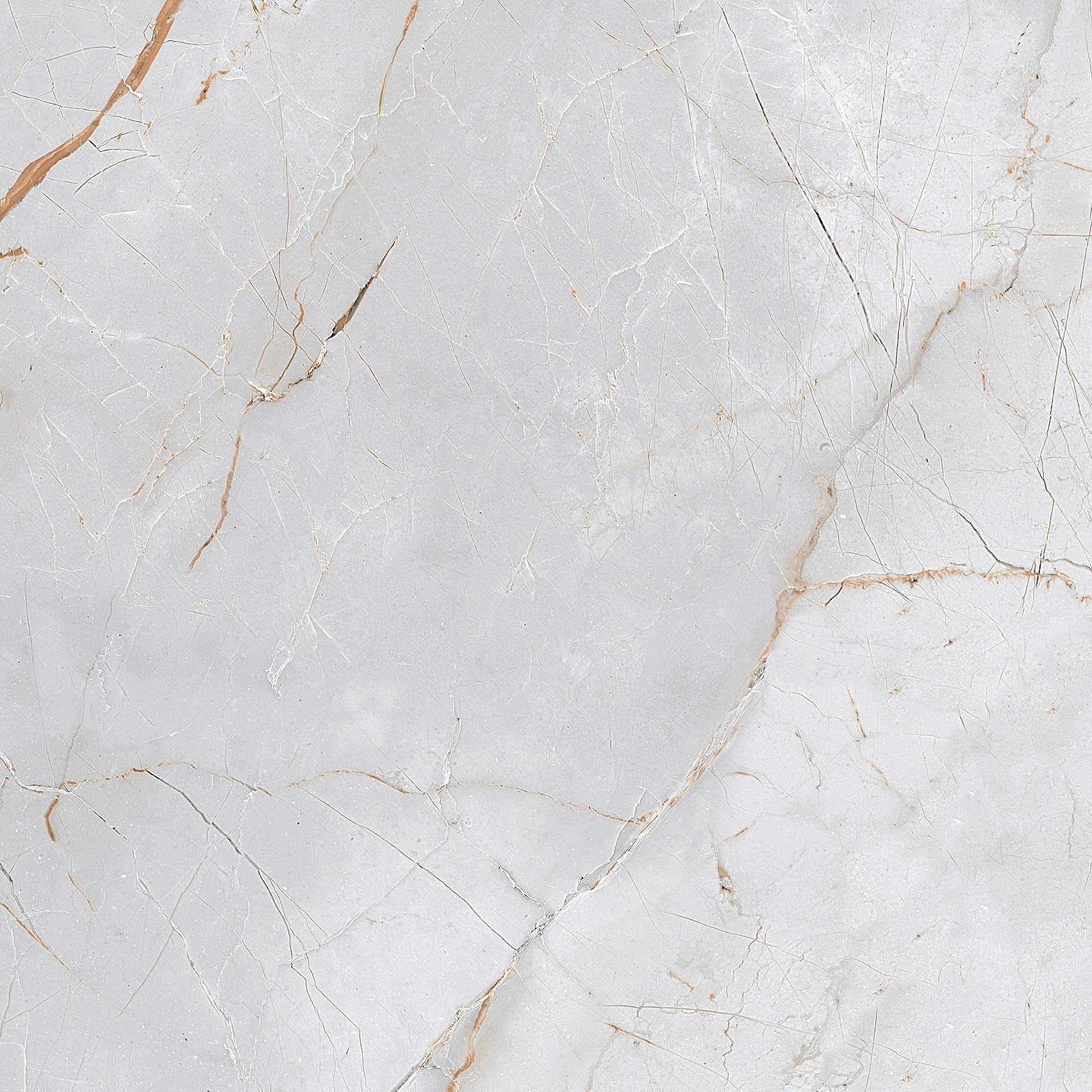 Carrelage sol intérieur effet marbre l.60 x L.120 cm - KERAMOS SILVER - 3