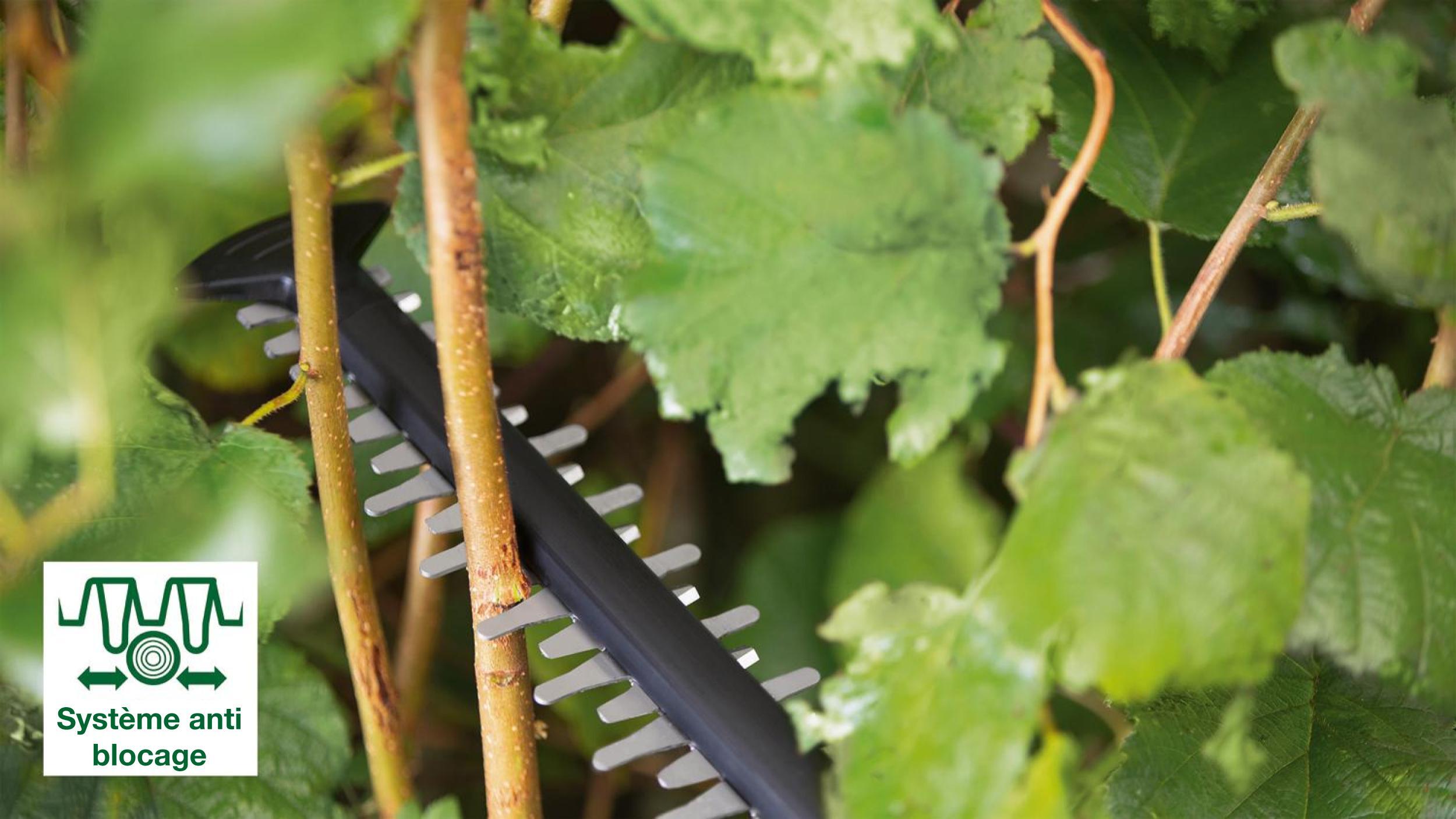 Taille-haies électrique BOSCH AdvancedHedgeCut 65, 500 W L.65 cm - 3