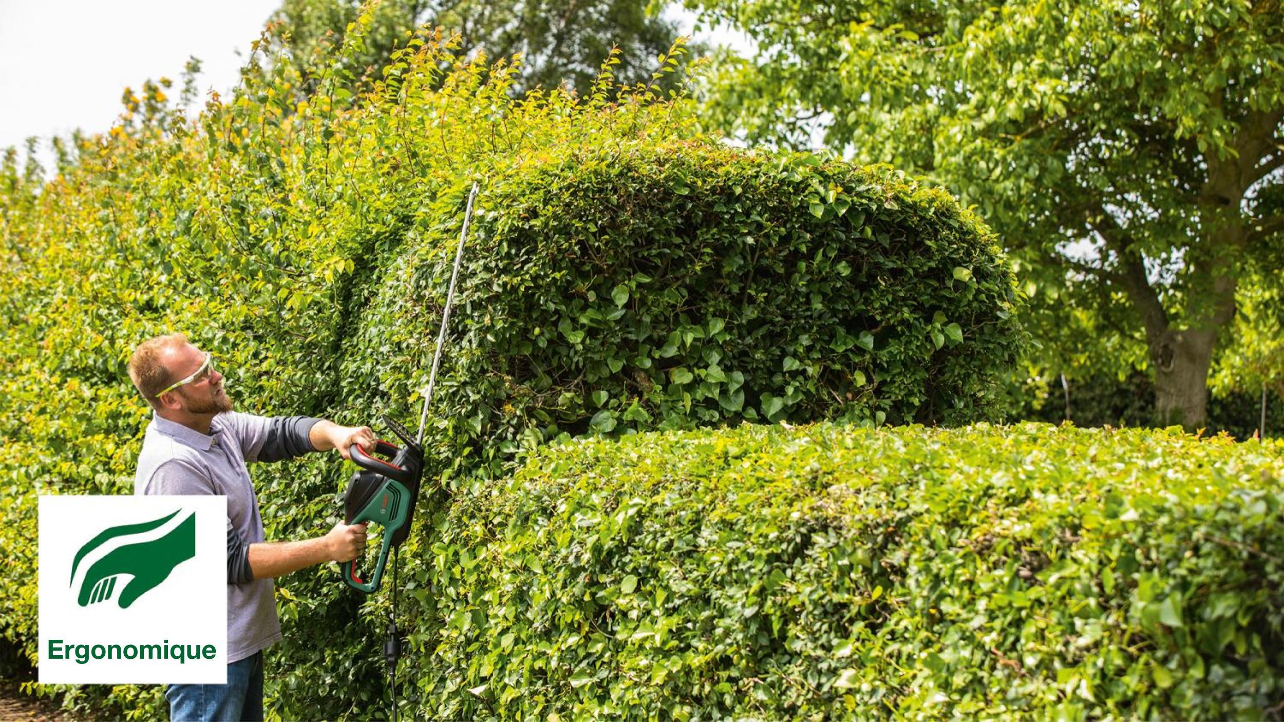 Taille-haies électrique BOSCH AdvancedHedgeCut 65, 500 W L.65 cm - 2