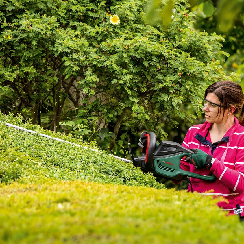 Taille-haies électrique BOSCH AdvancedHedgeCut 65, 500 W L.65 cm - 6