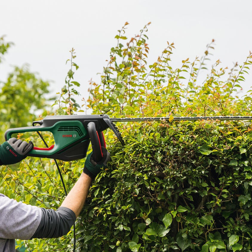 Taille-haies électrique BOSCH AdvancedHedgeCut 65, 500 W L.65 cm - 7
