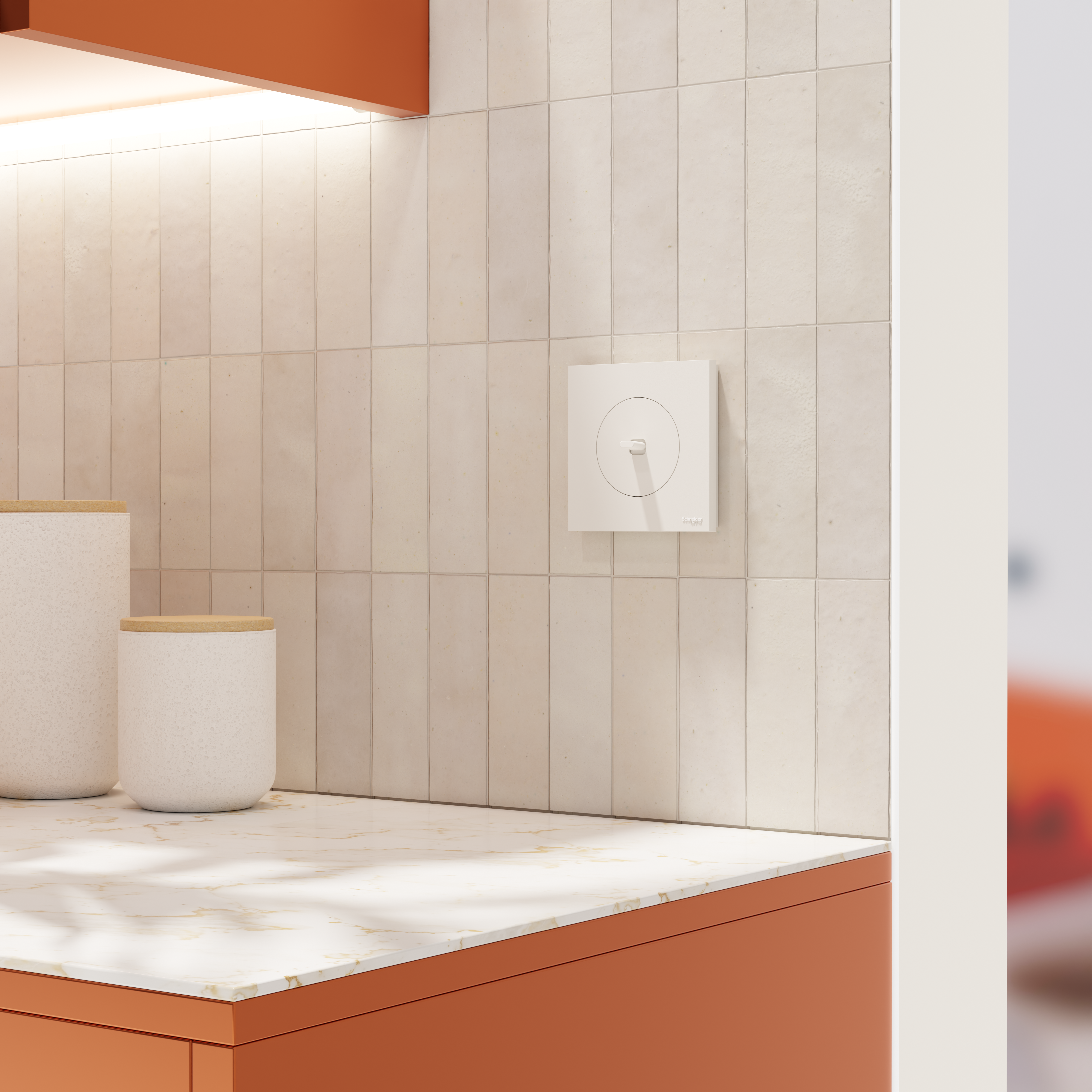 Lot de 20 plaques simple Odace, SCHNEIDER ELECTRIC, blanc - 9