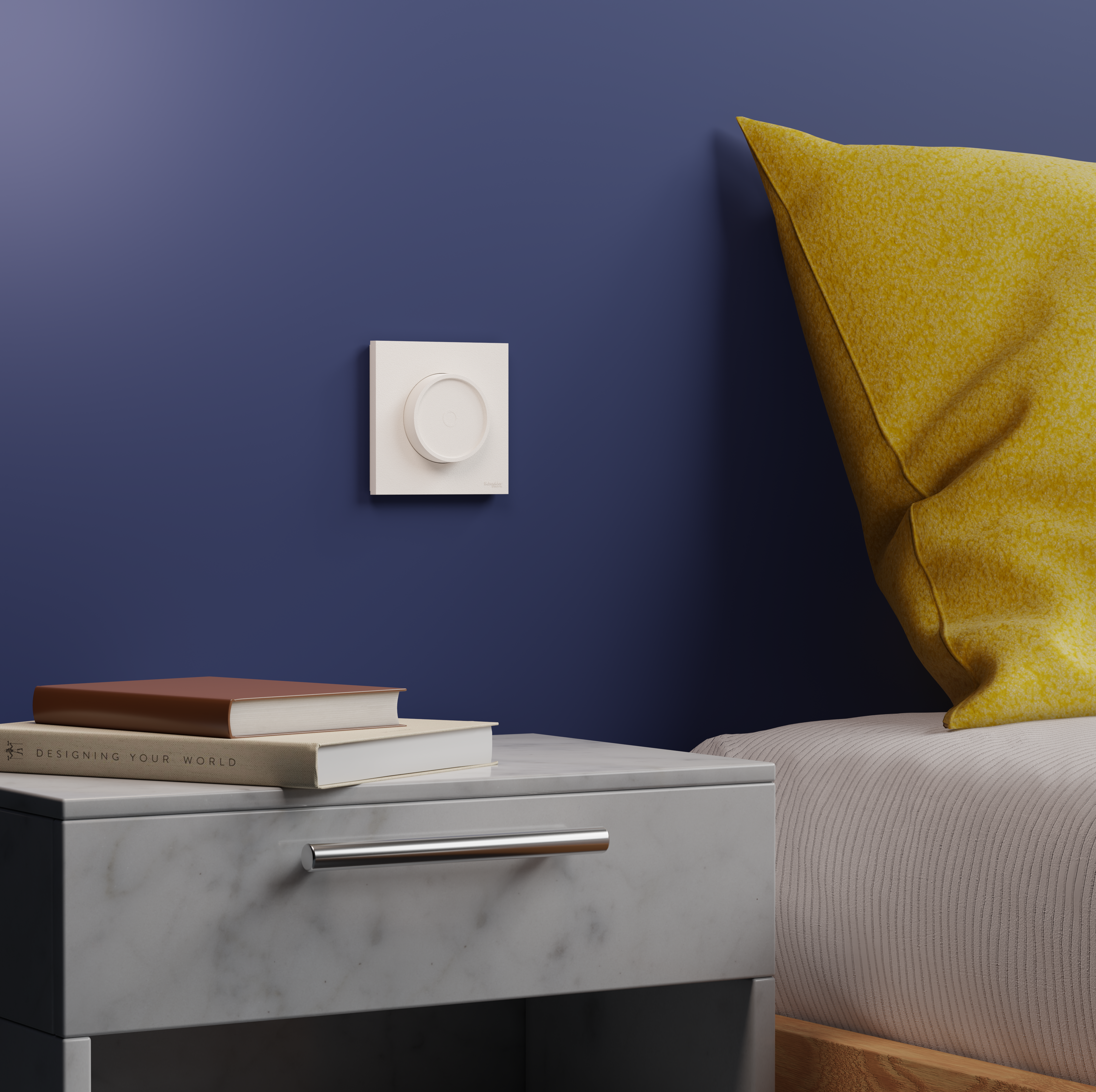 Lot de 20 plaques simple Odace, SCHNEIDER ELECTRIC, blanc - 3