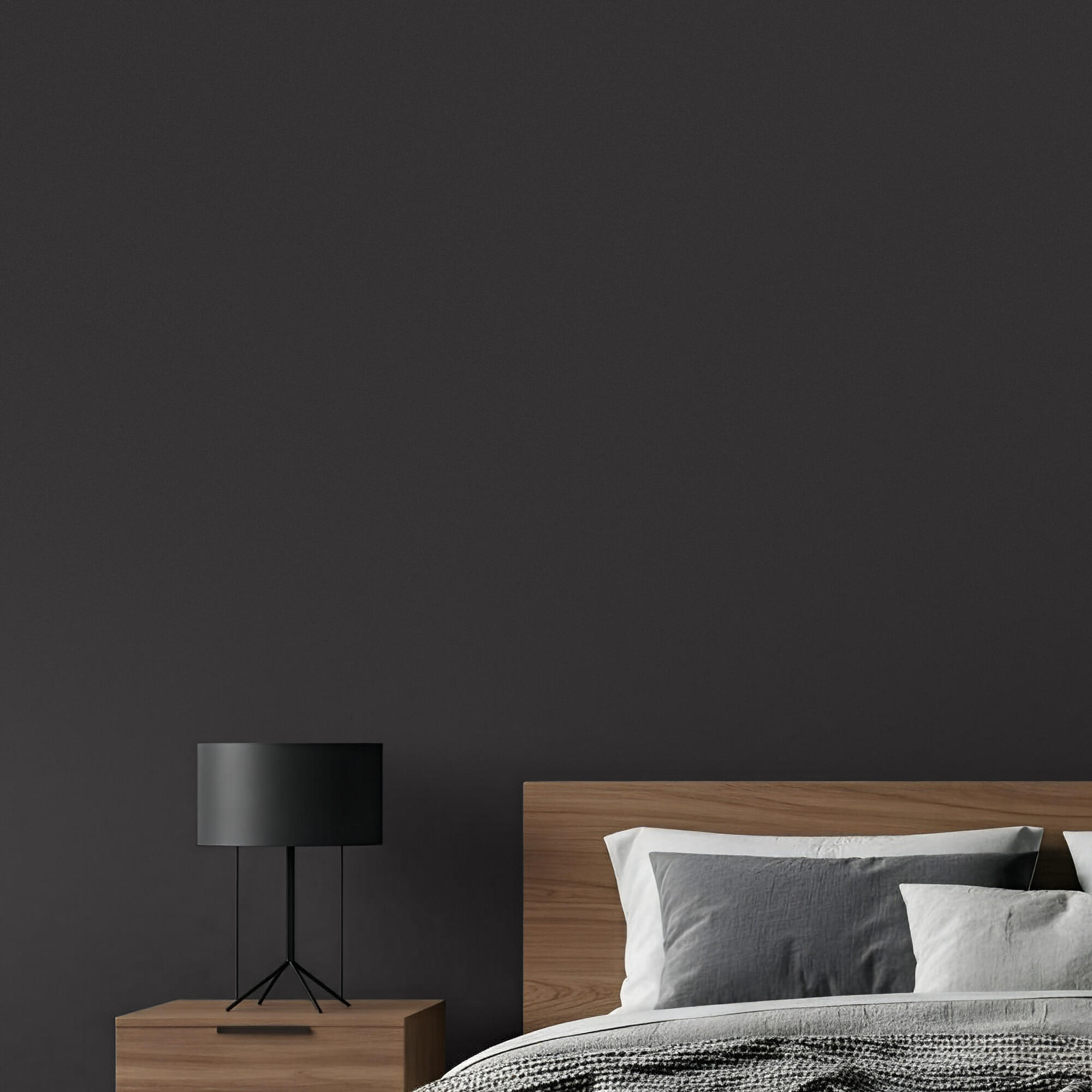 Tinta interior decorativa mate 2,5 L Black Luxens Premium - 6