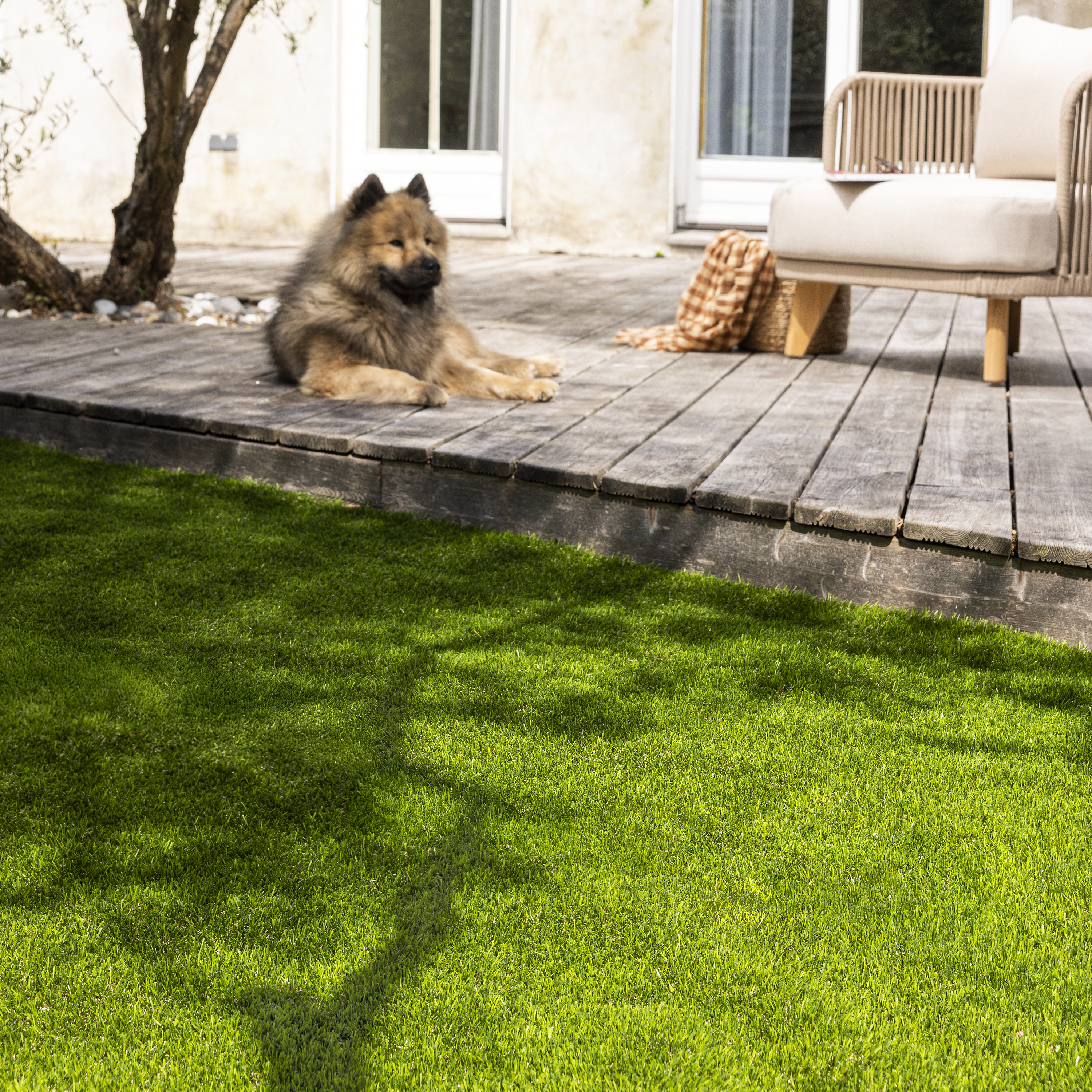 Rollo césped artificial NATERIAL Panamá 1x5m 35 mm de altura de fibras y 16800 puntadas m² - 2