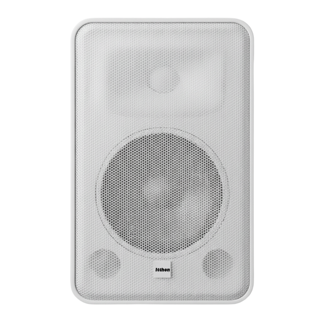 ALTAVOZ AUXILIAR 2 VIAS WOOFER 8
