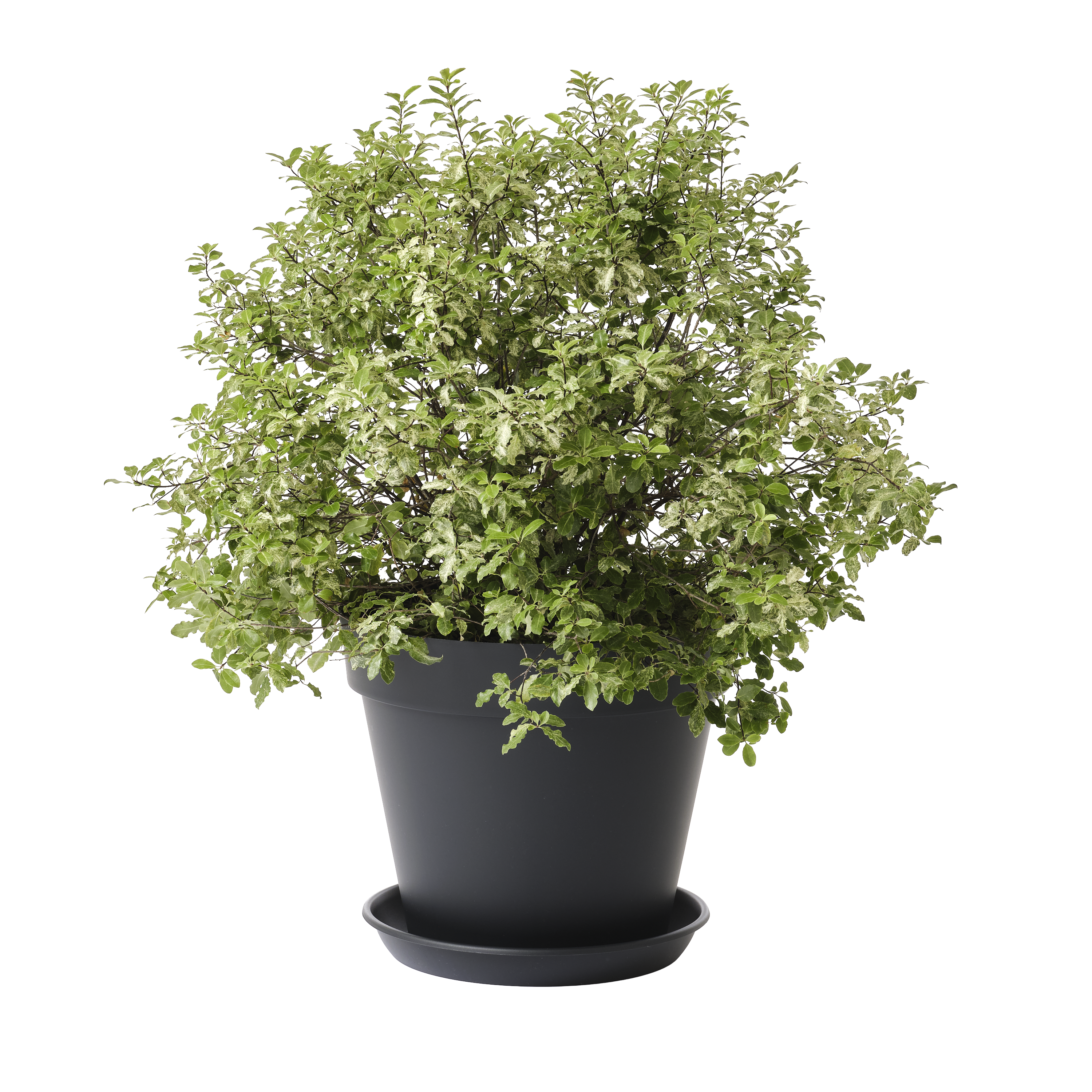 Plato para maceta y jardinera Taiga polipropileno gris / plata 35x35 cm GEOLIA - 3