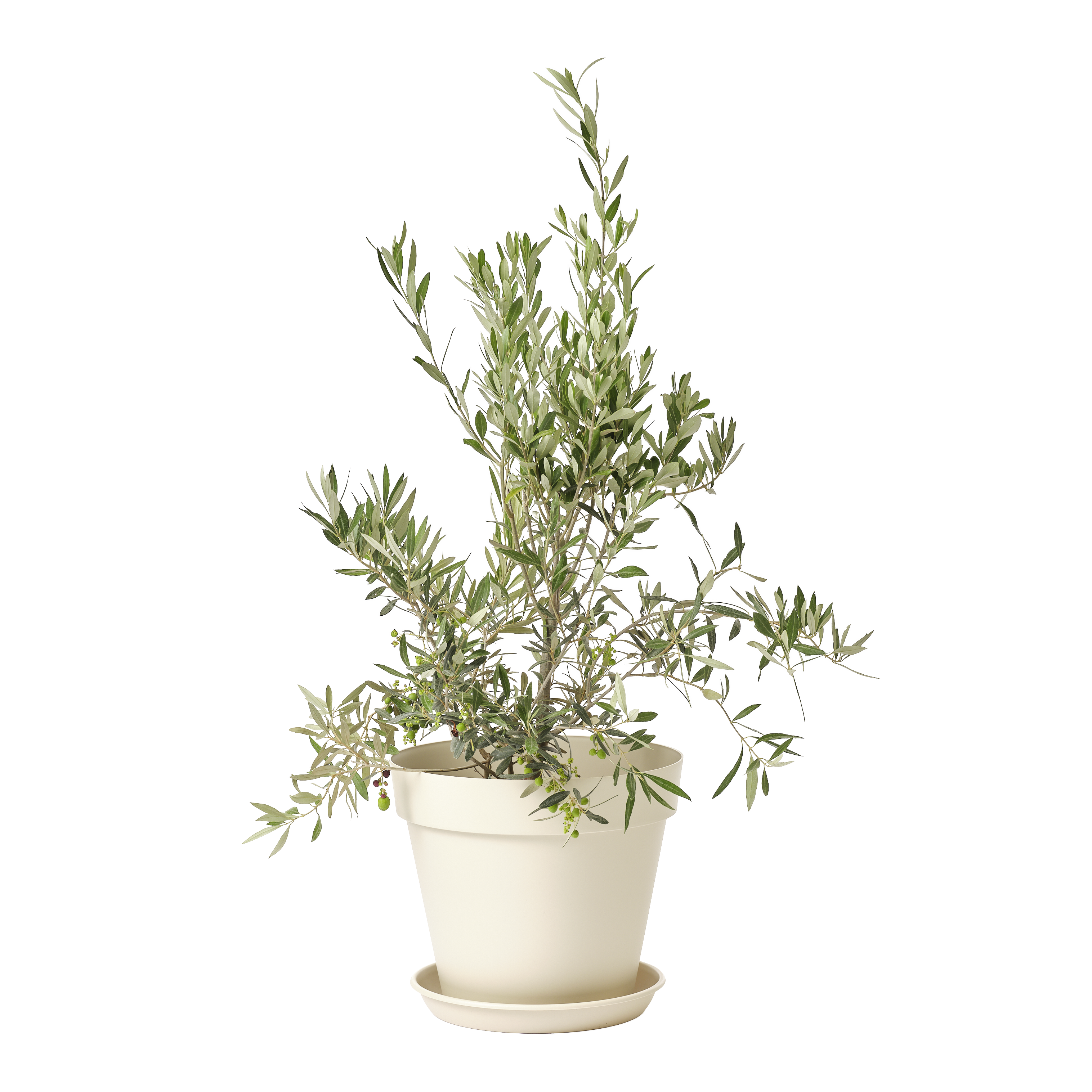 Plato para maceta y jardinera Taiga polipropileno blanco 35x35 cm GEOLIA - 3