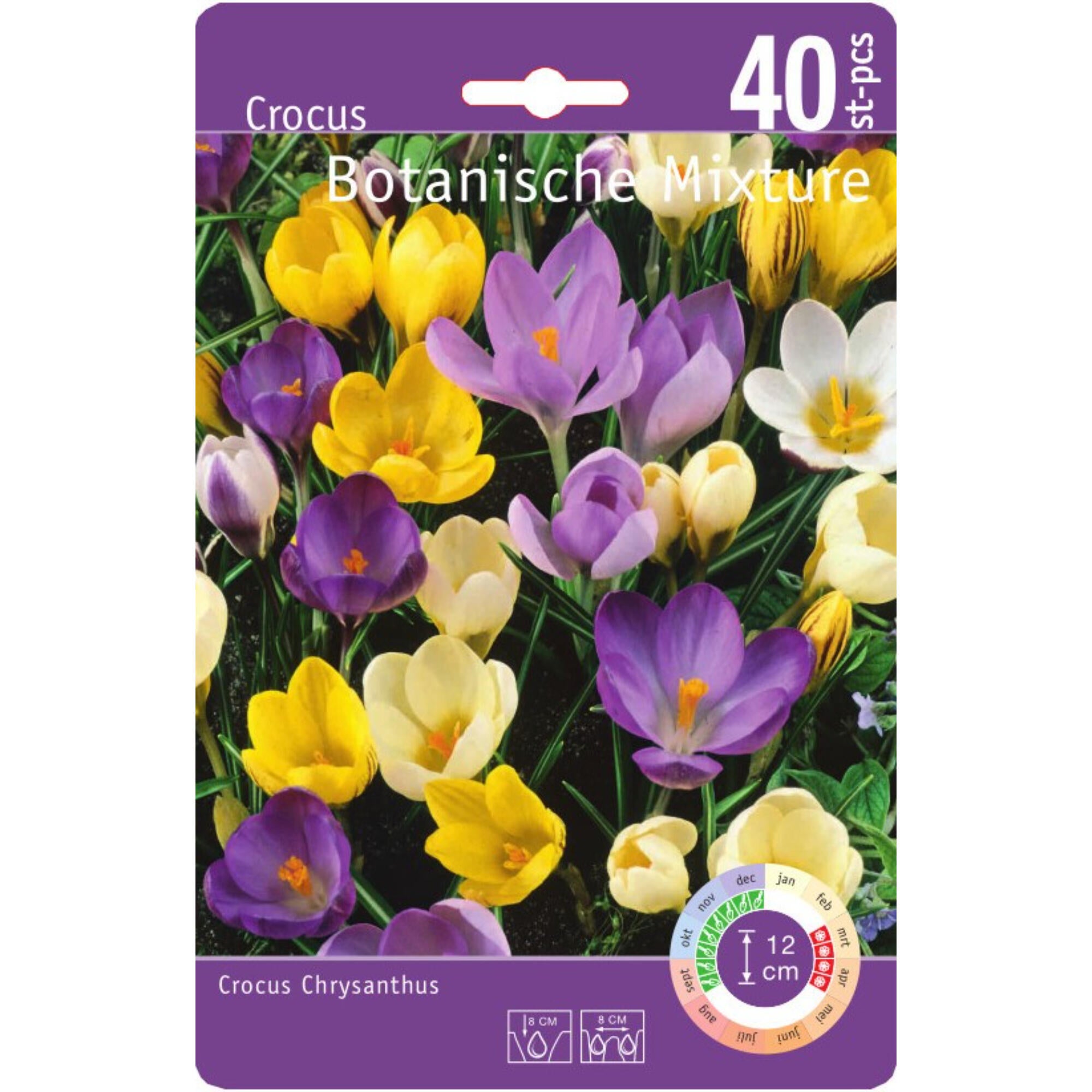 Bulbi Crocus Botanic mix 40 buc