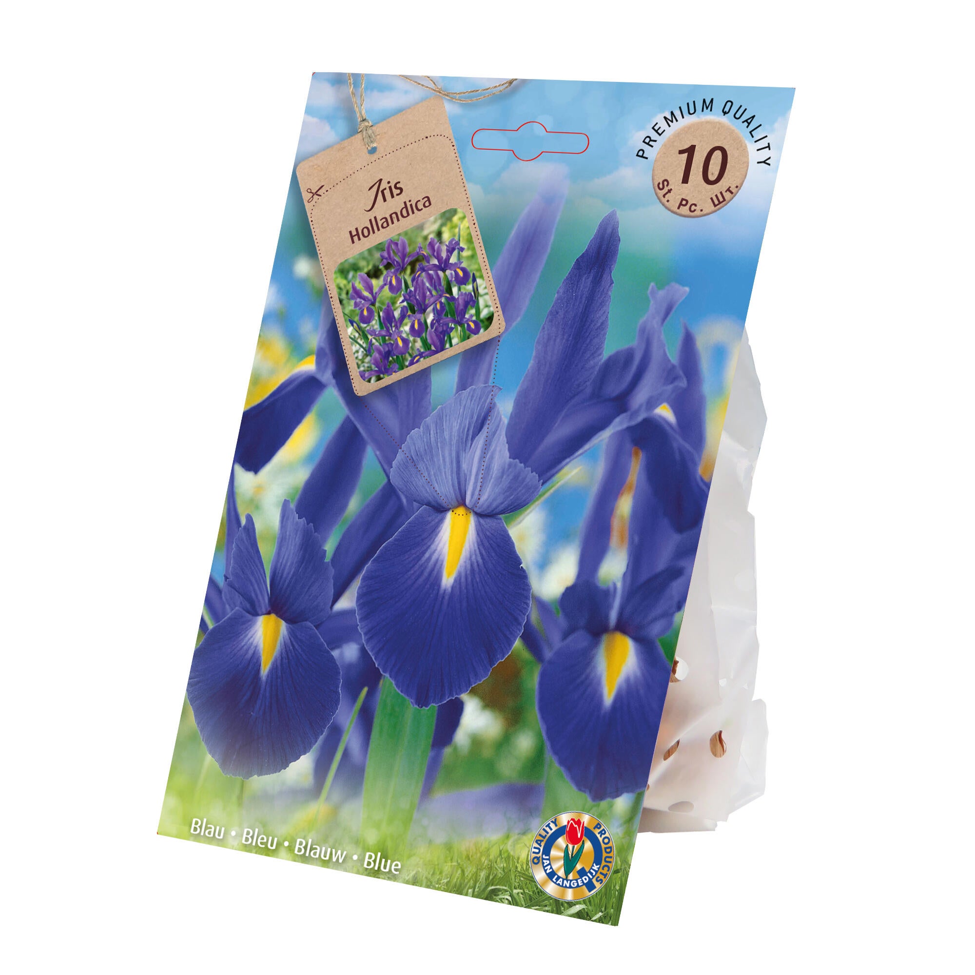 Bulbi iris Hollandica, Jan Langedijk, albastru (10 bucati) 10buc
