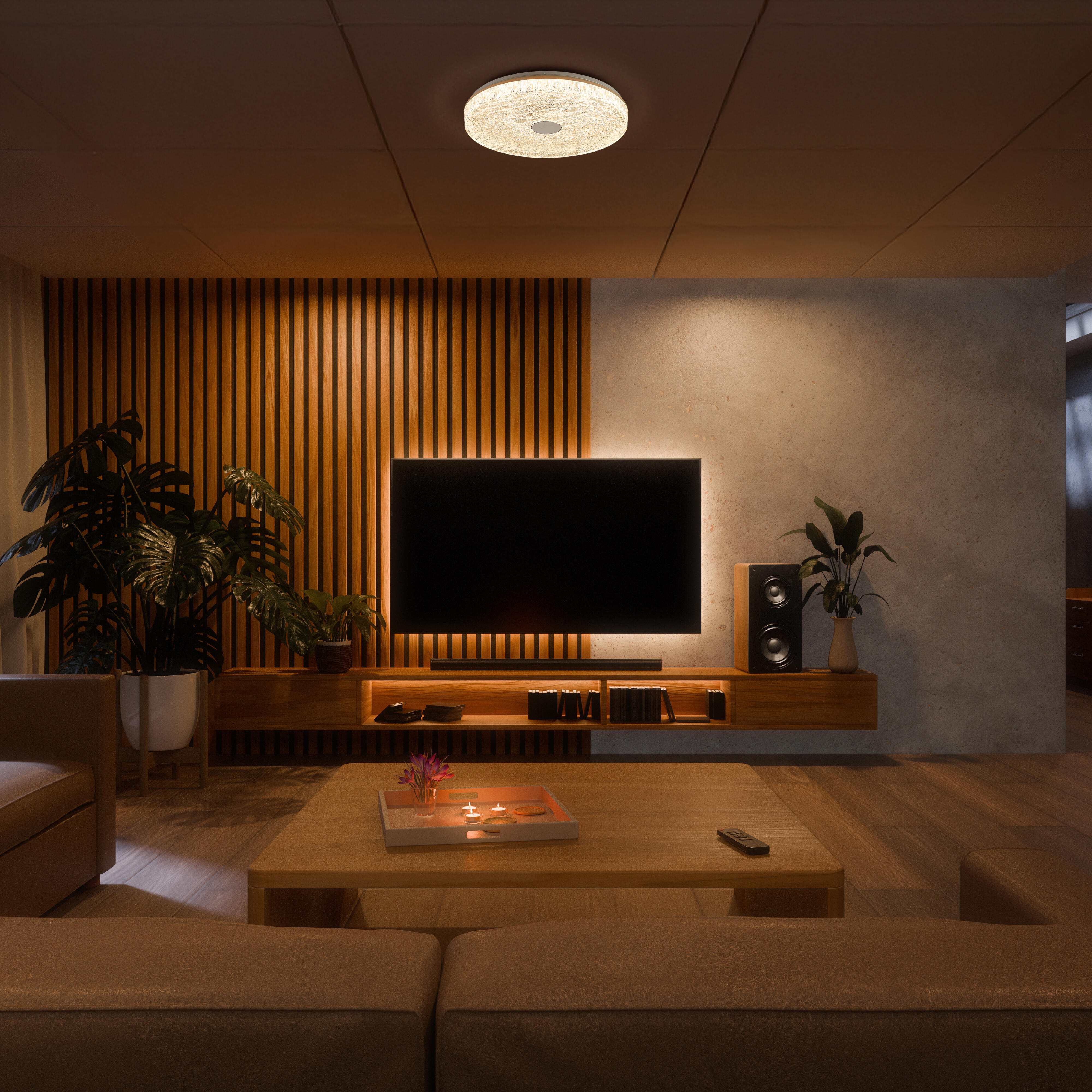 Plafón LED redondo blanco Frozen 3420 lm CCT 2700K-5000K ø30 cm IP20 - 2