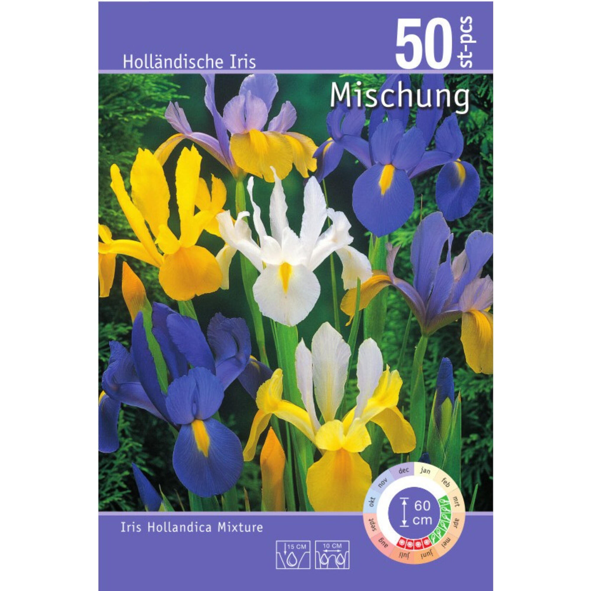 Bulbi Iris Holland mix 50 buc | Leroy Merlin