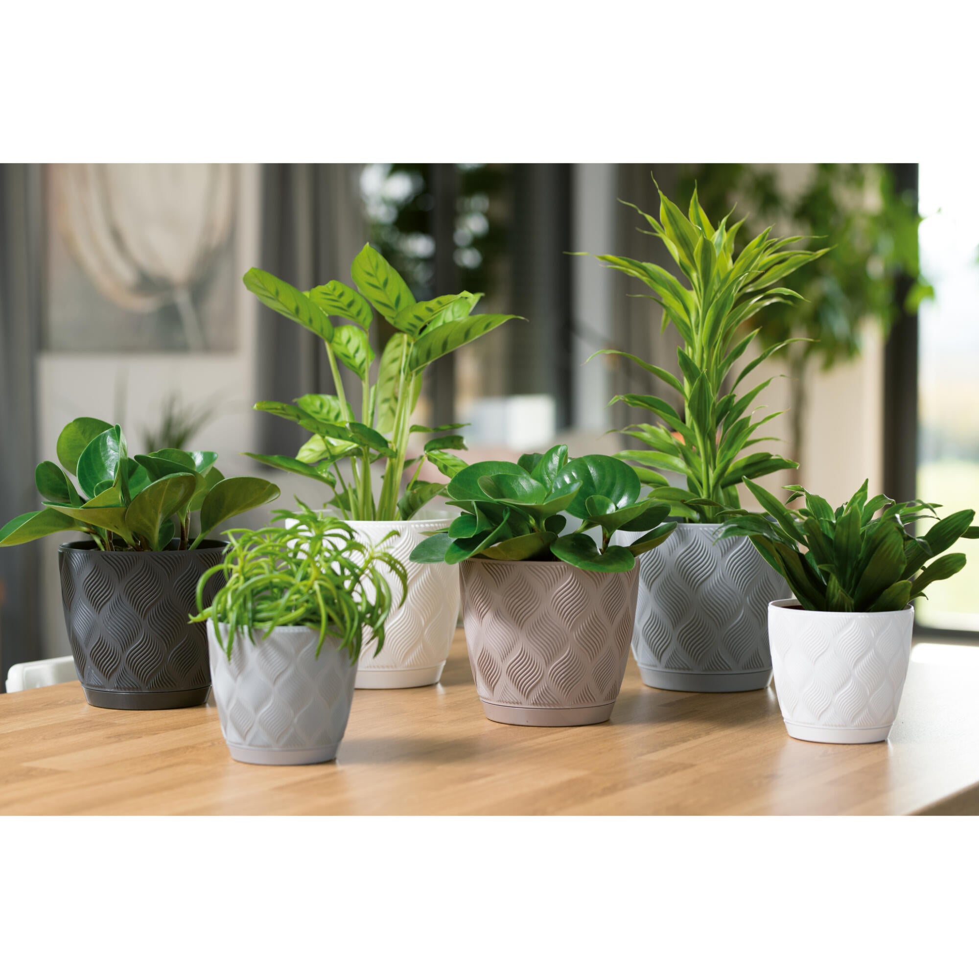 Ghiveci flori Flow Petit, cu farfurie, plastic, Ø 19 cm, alb