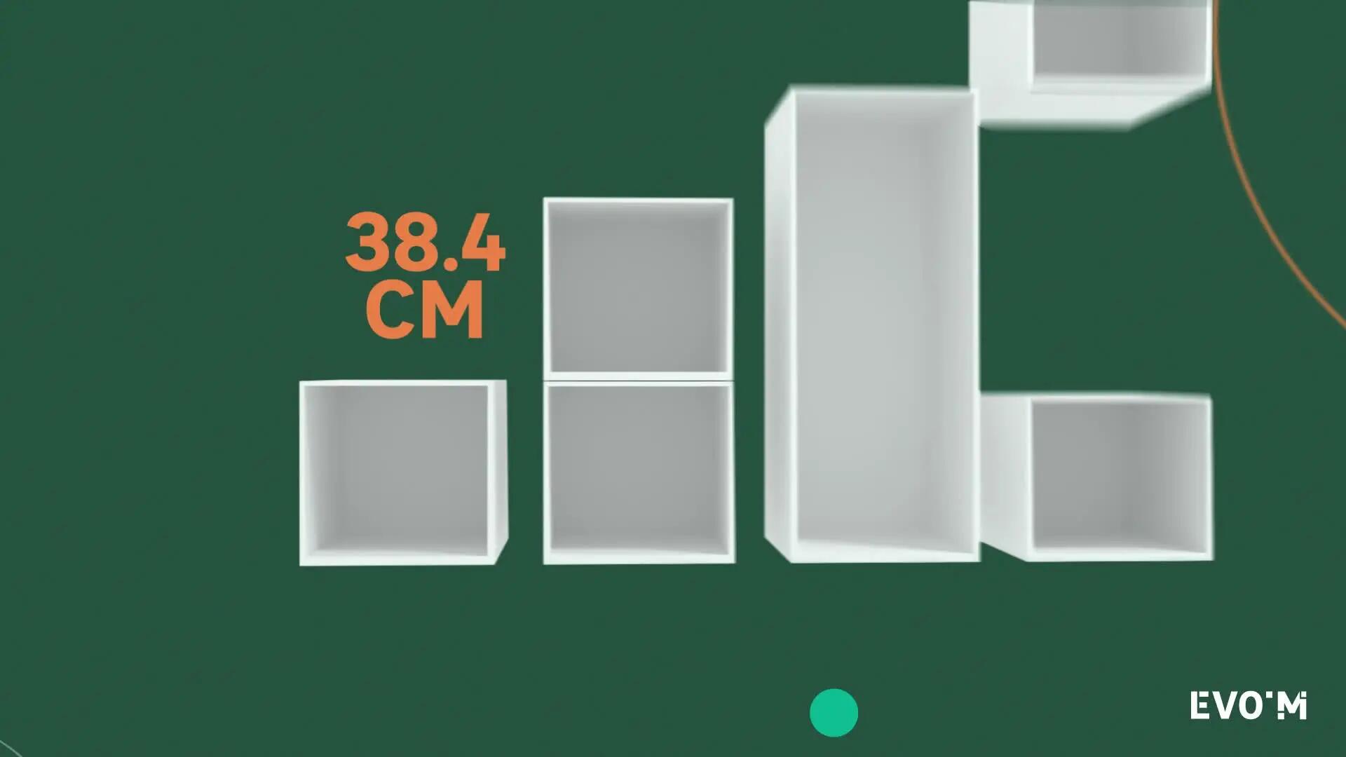 Video Gama Evo´M