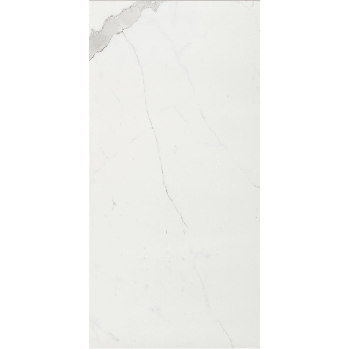 Carrelage sol intérieur / mur intérieur effet marbre blanc Rimini l.60 x L.120 c - 2