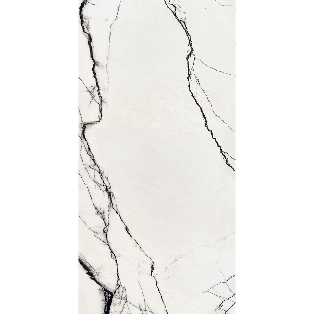 Carrelage sol intérieur / mur intérieur effet marbre zebre Rimini l.60 x L.120 c - 3