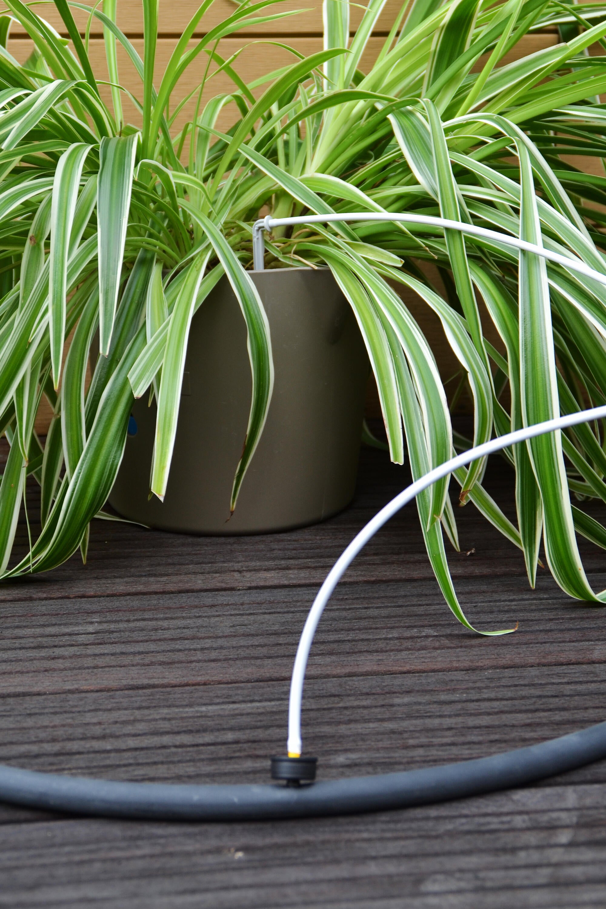 Estaca para tubo 16 mm 25 unidades Geolia - 27