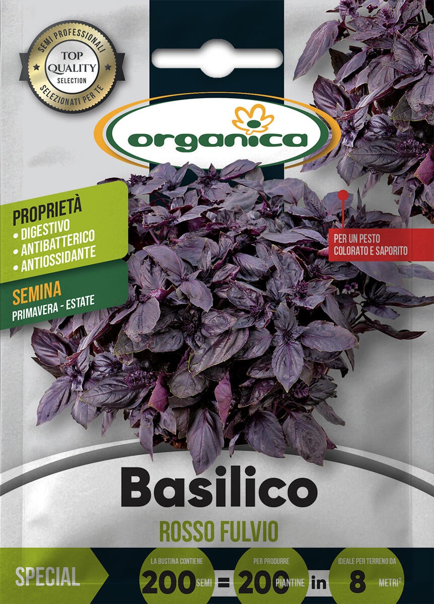 Semi di basilico rosso fulvio 0.01 g | Leroy Merlin