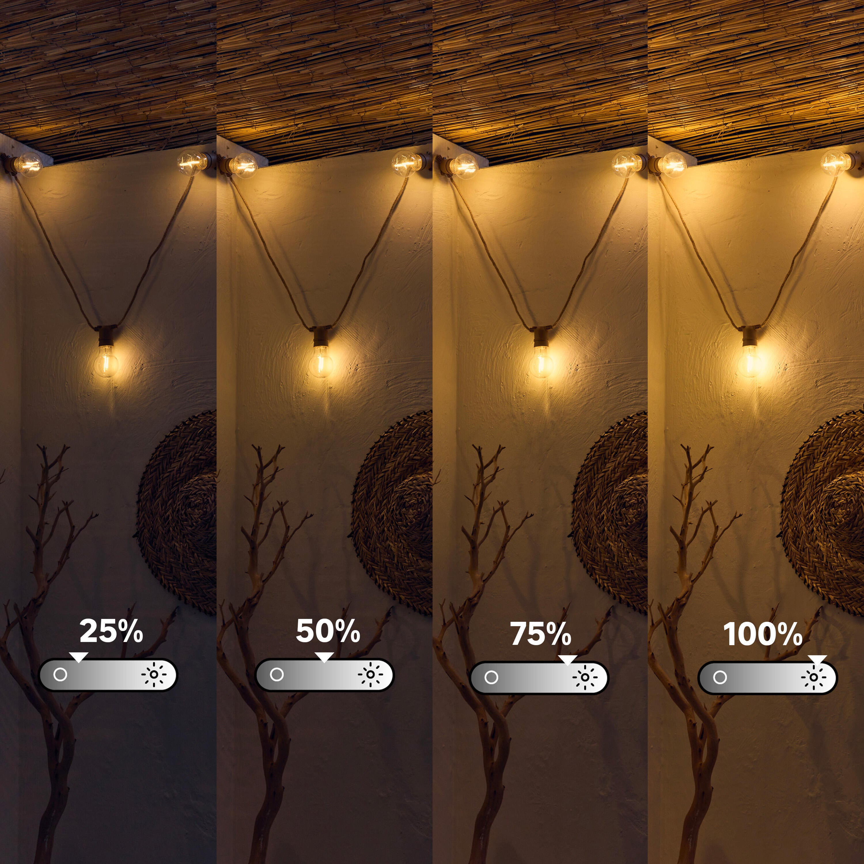 Guirlande extérieure 5m 10 ampoules blanc chaud intensité variable Minta INSPIRE - 3