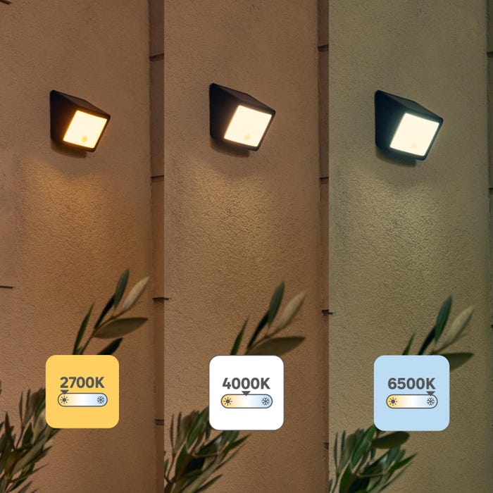 fano lamp solar