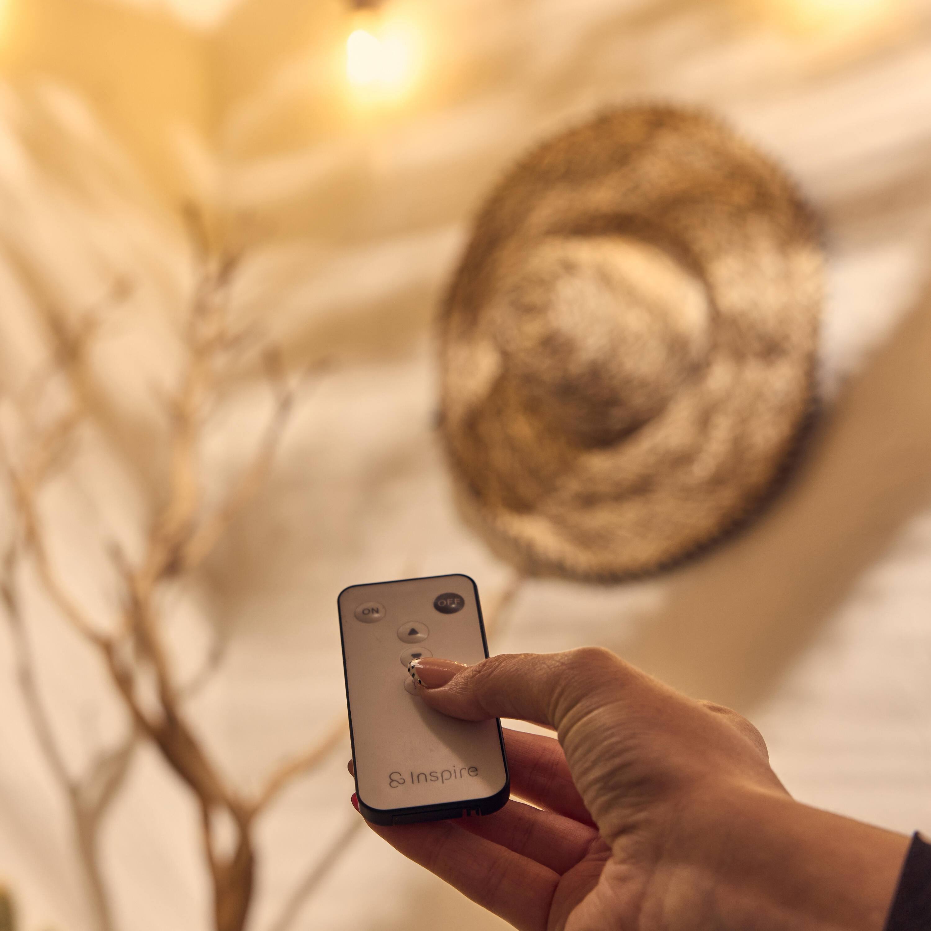 guirlande minta led outdoor - 1