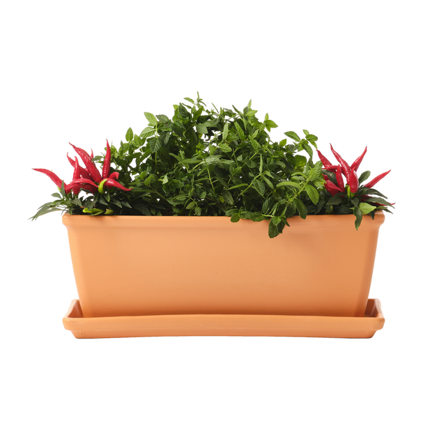 Tiesto rectangular Colorado de arcilla 19.2 x 52.6 x 19.2cm naranja