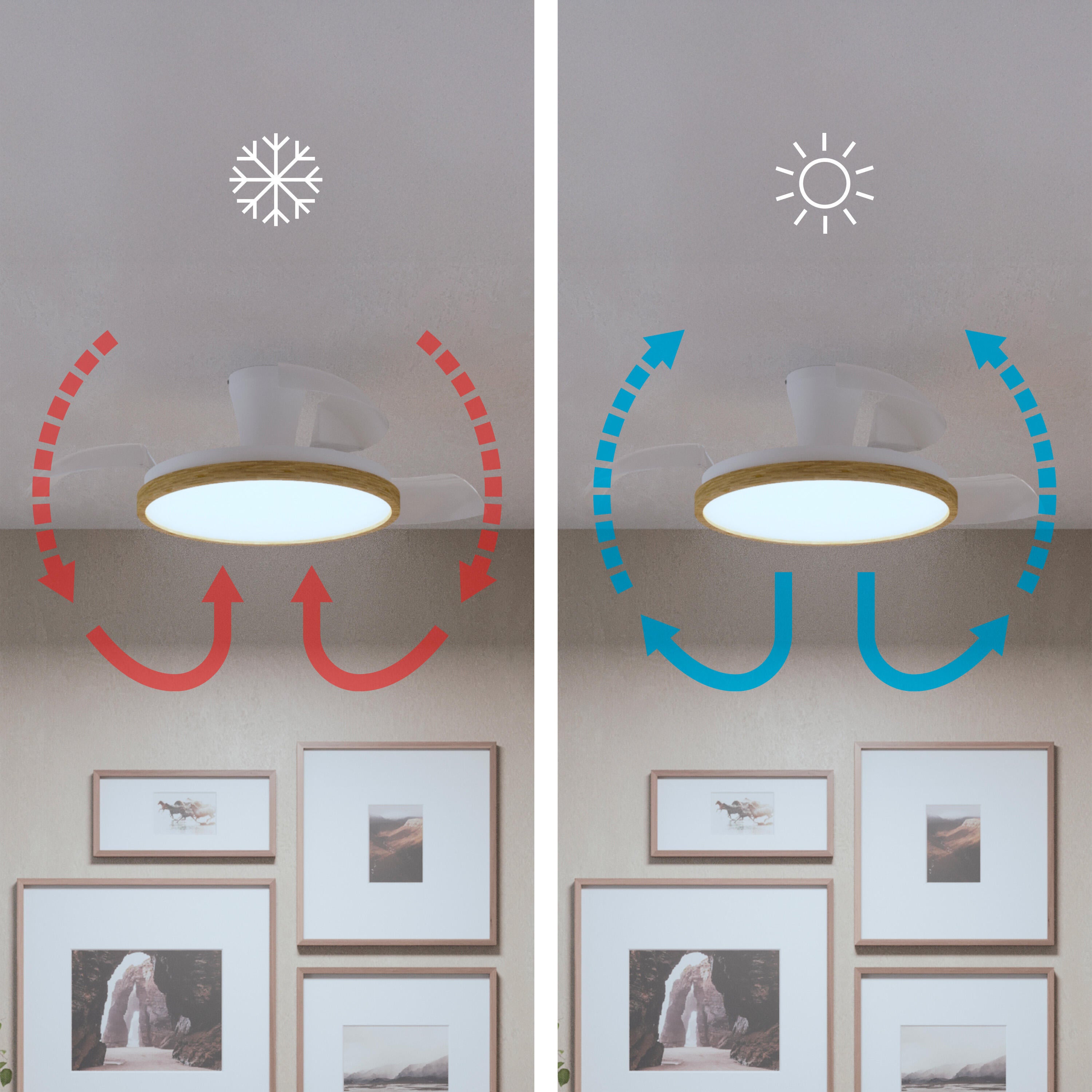 ventilador de teto - 3