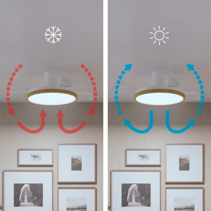 ventilador de teto