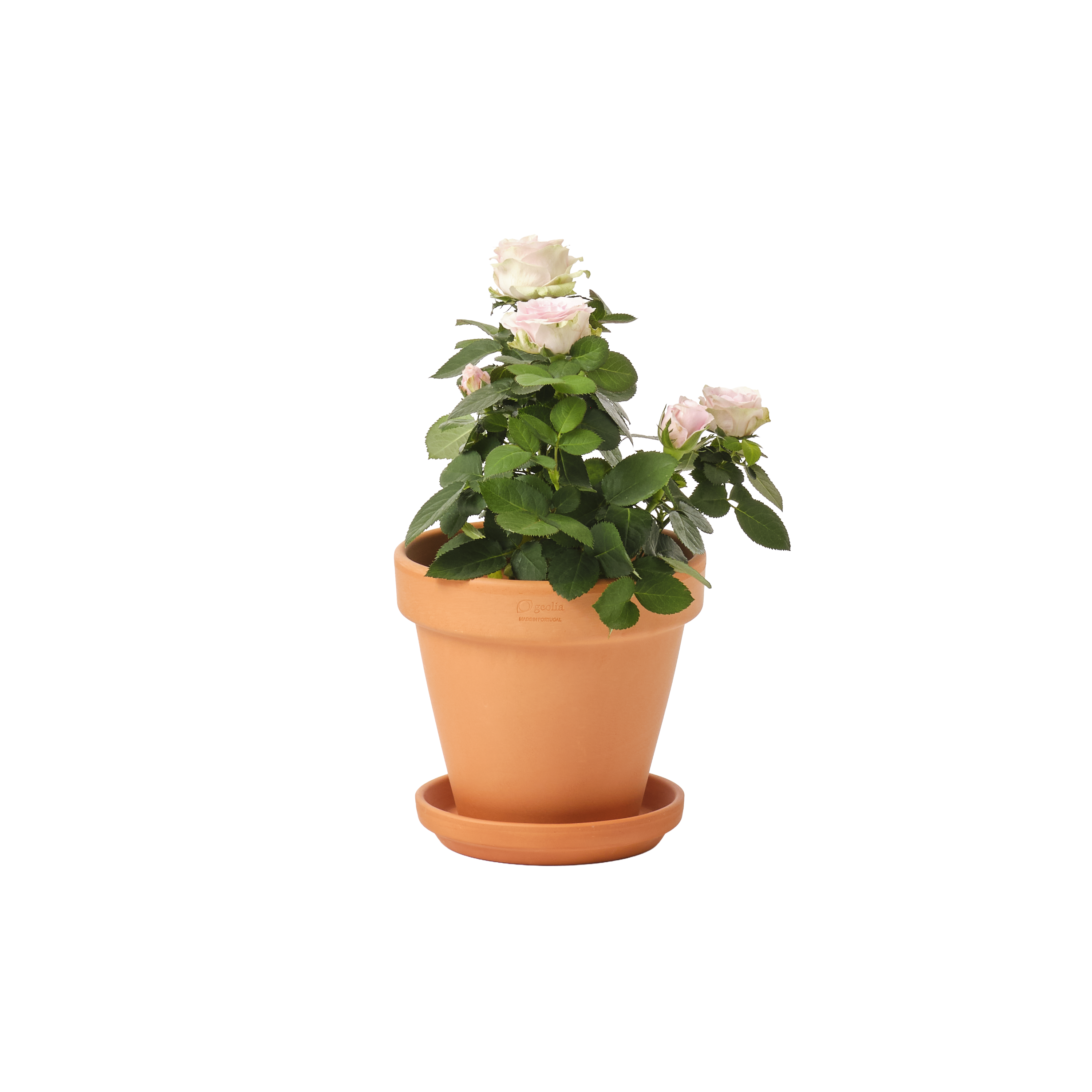 Maceta redonda de arcilla GEOLIA Gobi ø 15 cm y 13.7 cm altura naranja - 3