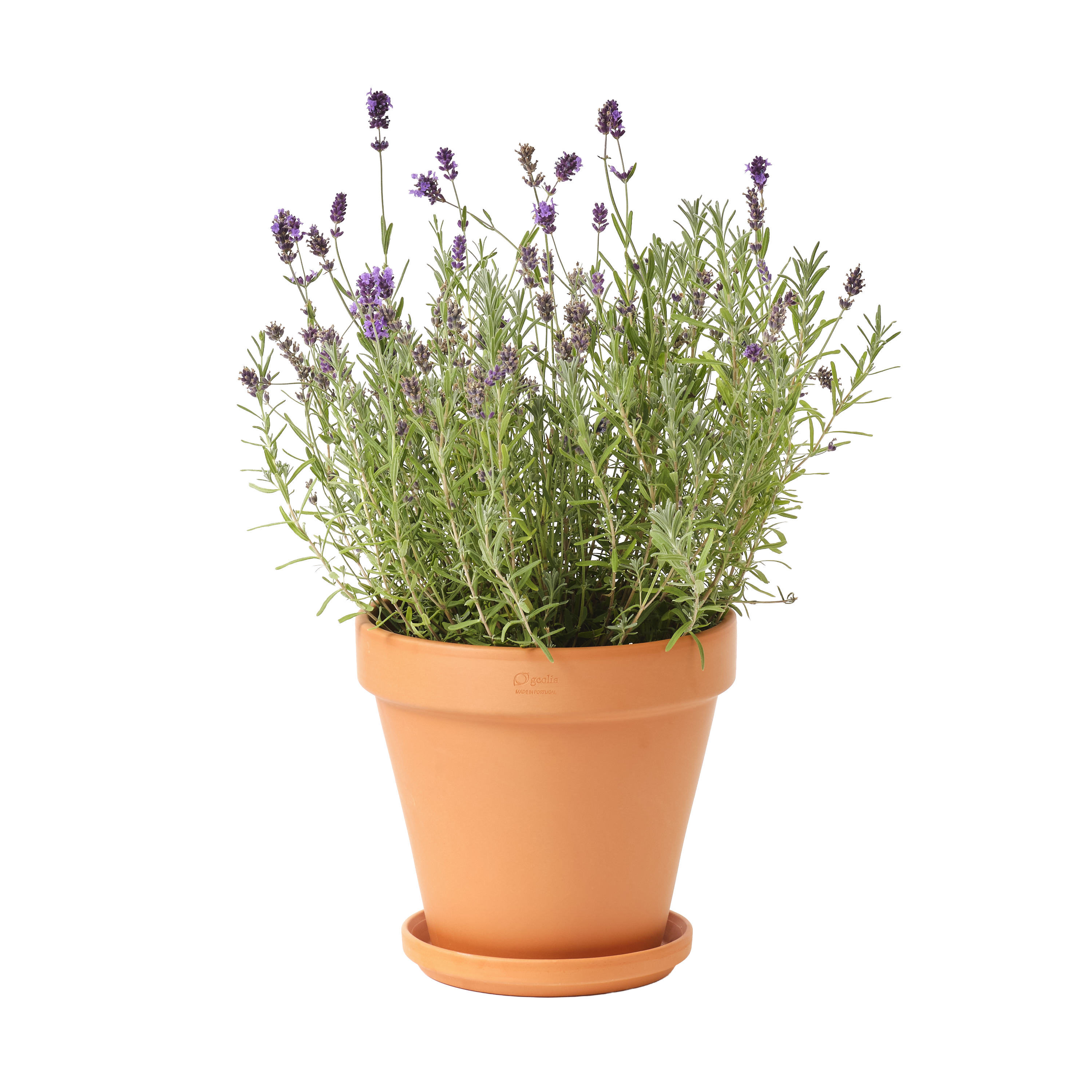 Maceta redonda de arcilla GEOLIA Gobi ø 25 cm y 22.6 cm altura naranja - 3