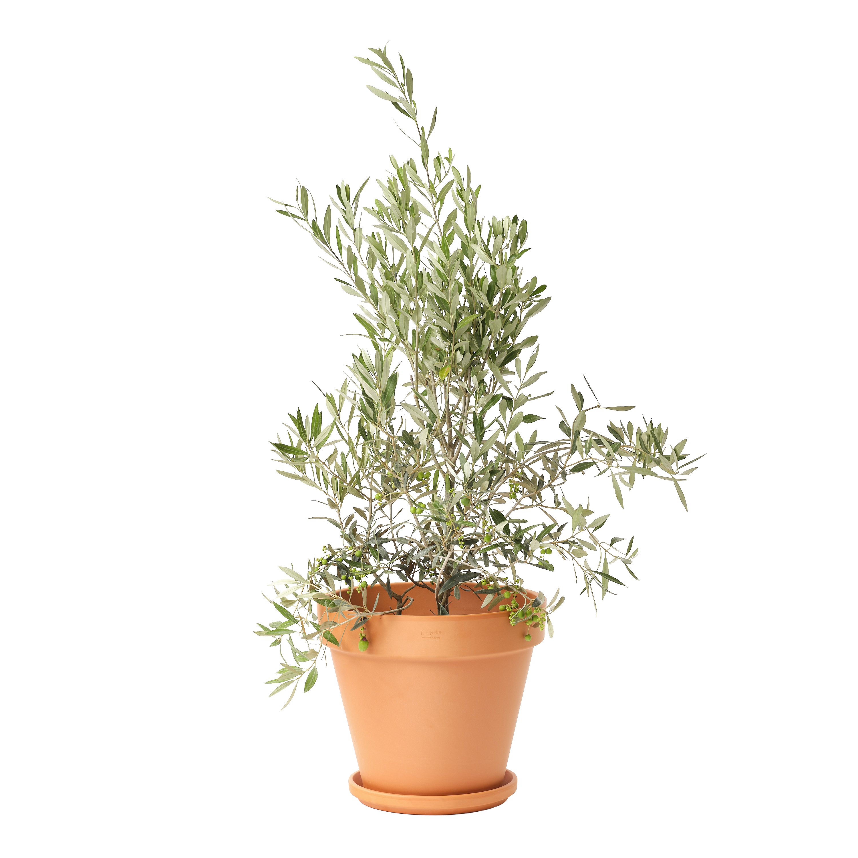 Plato para maceta y jardinera arcilla naranja / cobre 36x36 cm - 3