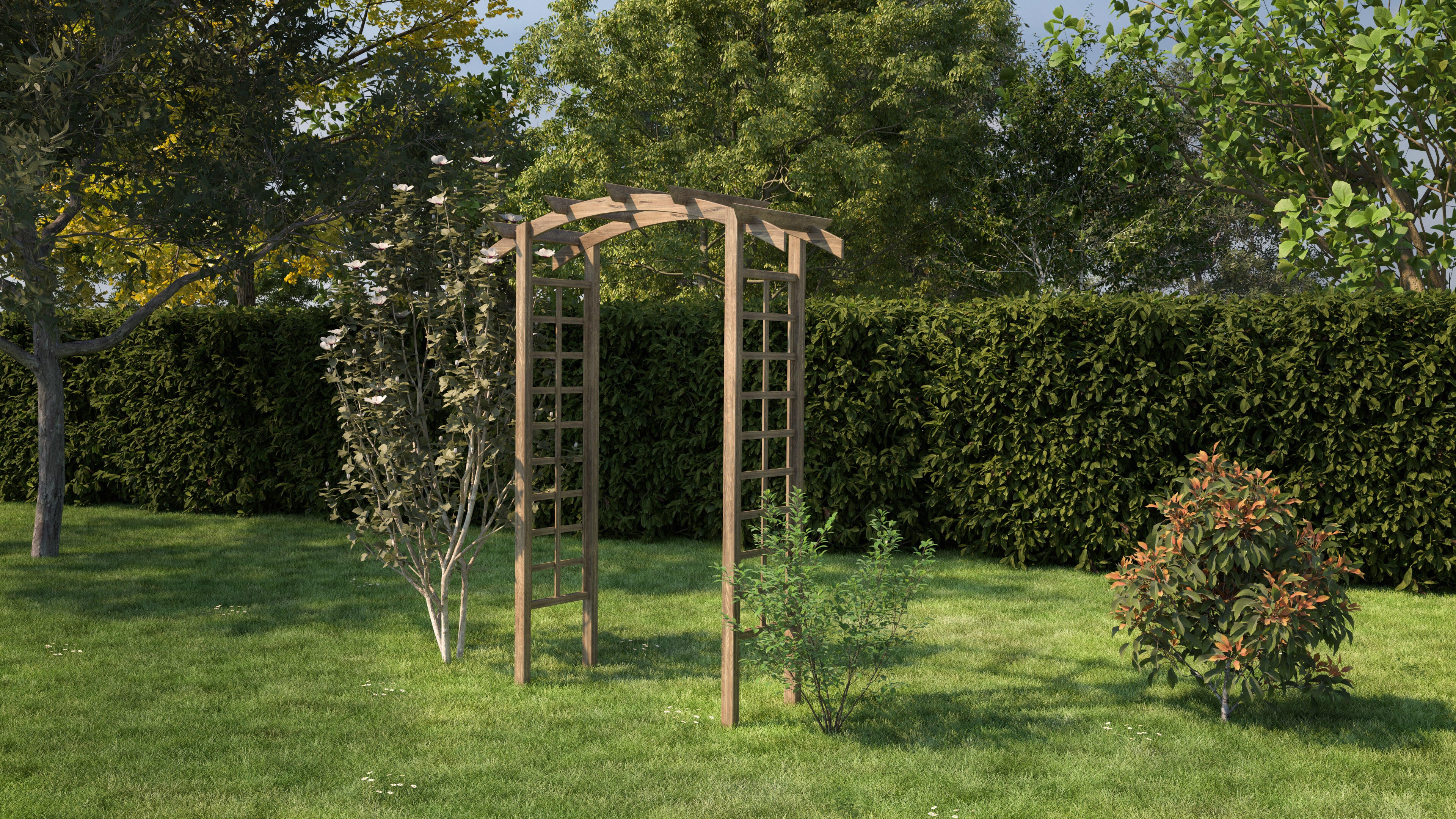 Pergola Luna Arco de madera 1,6 x 0,7 m - 3
