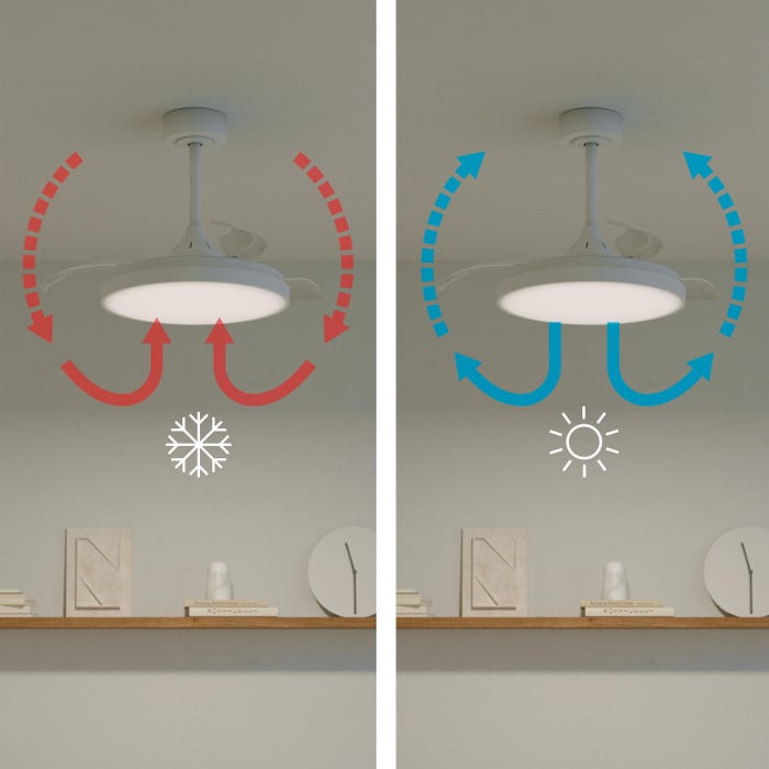 ventilador de techo