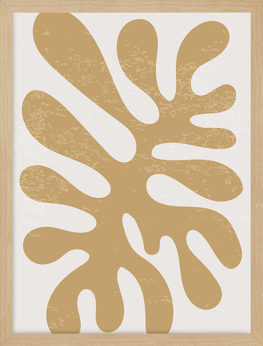 Cuadro pintura impresa enmarcada Botánica rectangular de 32 x 42 cm ...