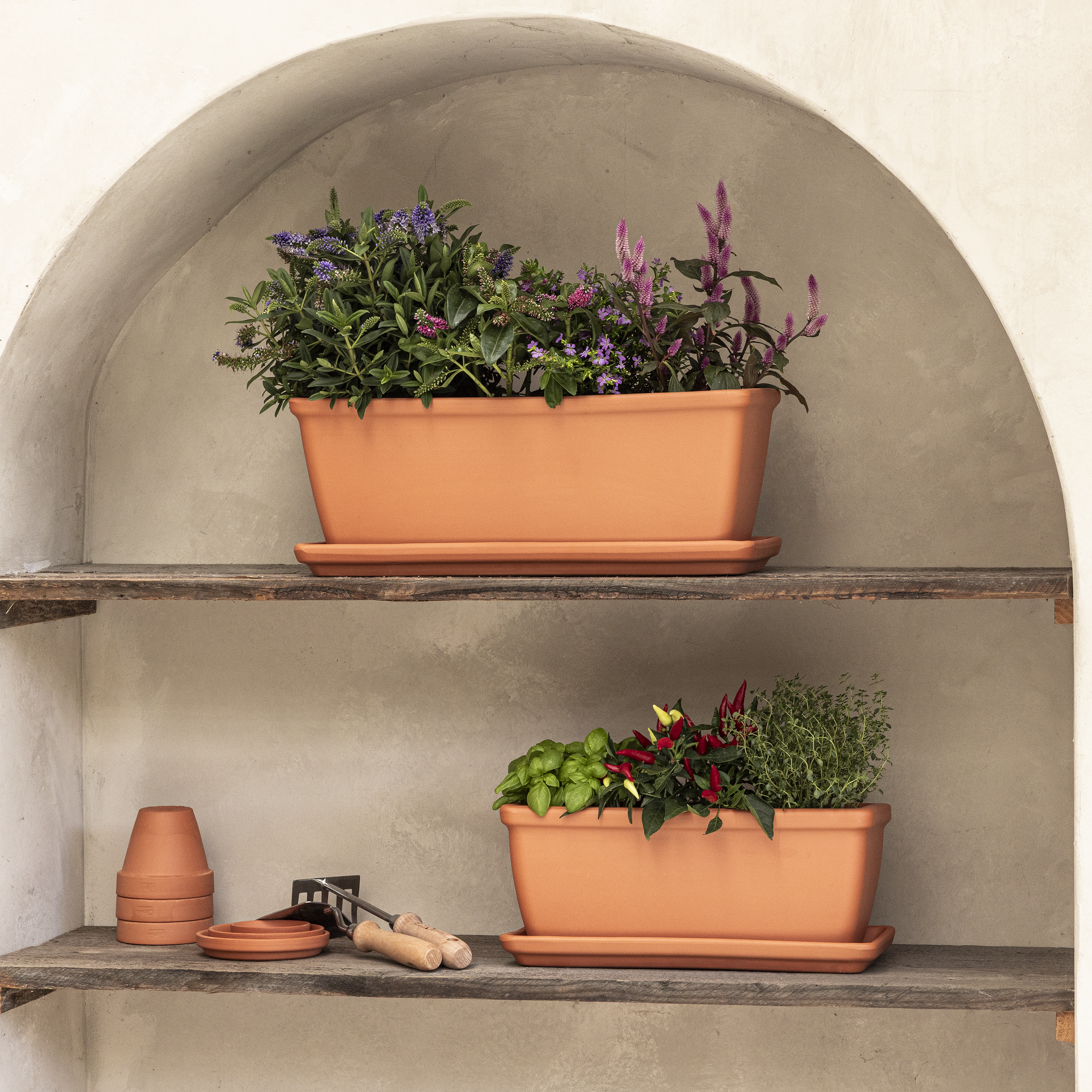 Transplantoir inox manche bois GEOLIA - 2