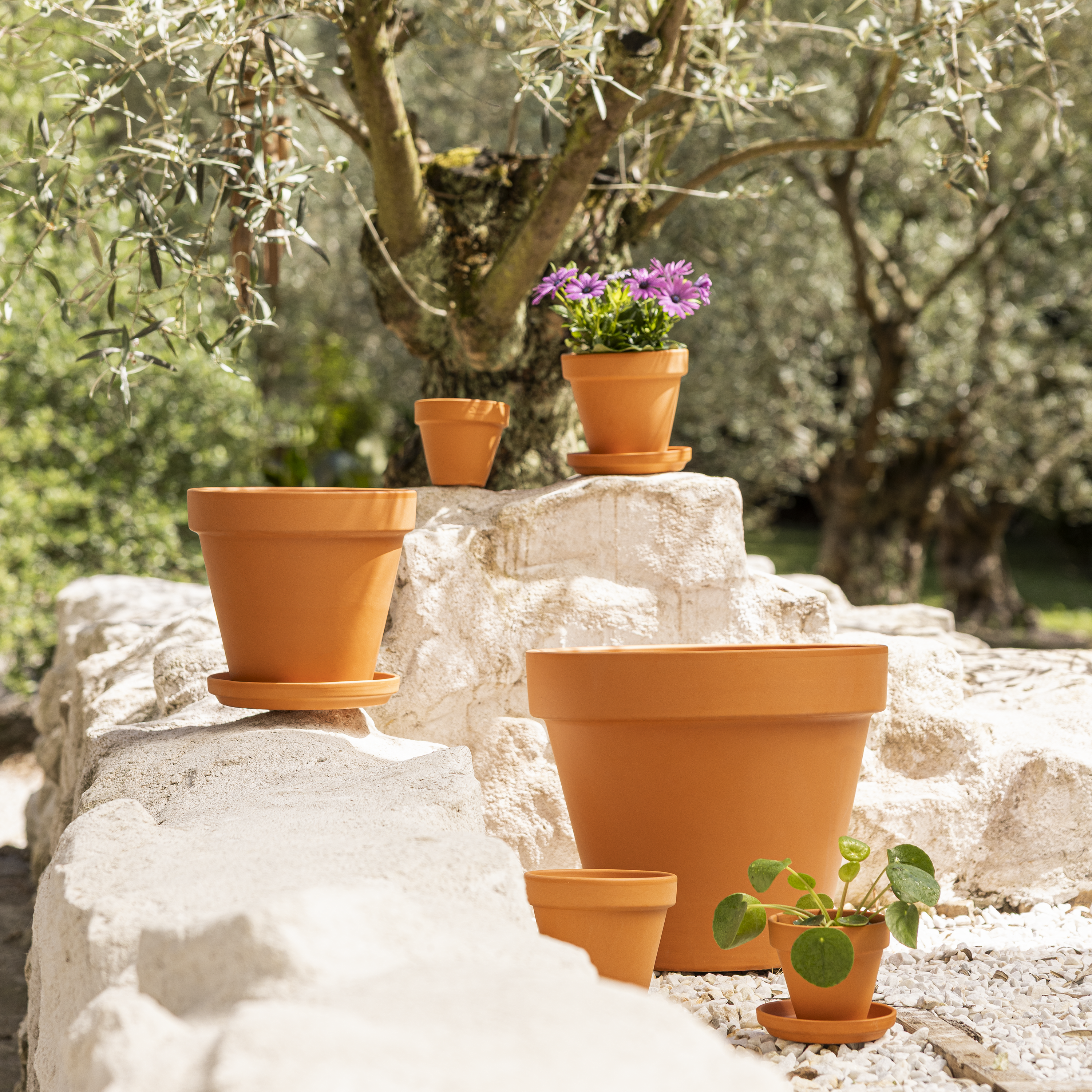 Soucoupe pour pot de fleurs et plantes terre cuite GEOLIA D.13 cm - 4