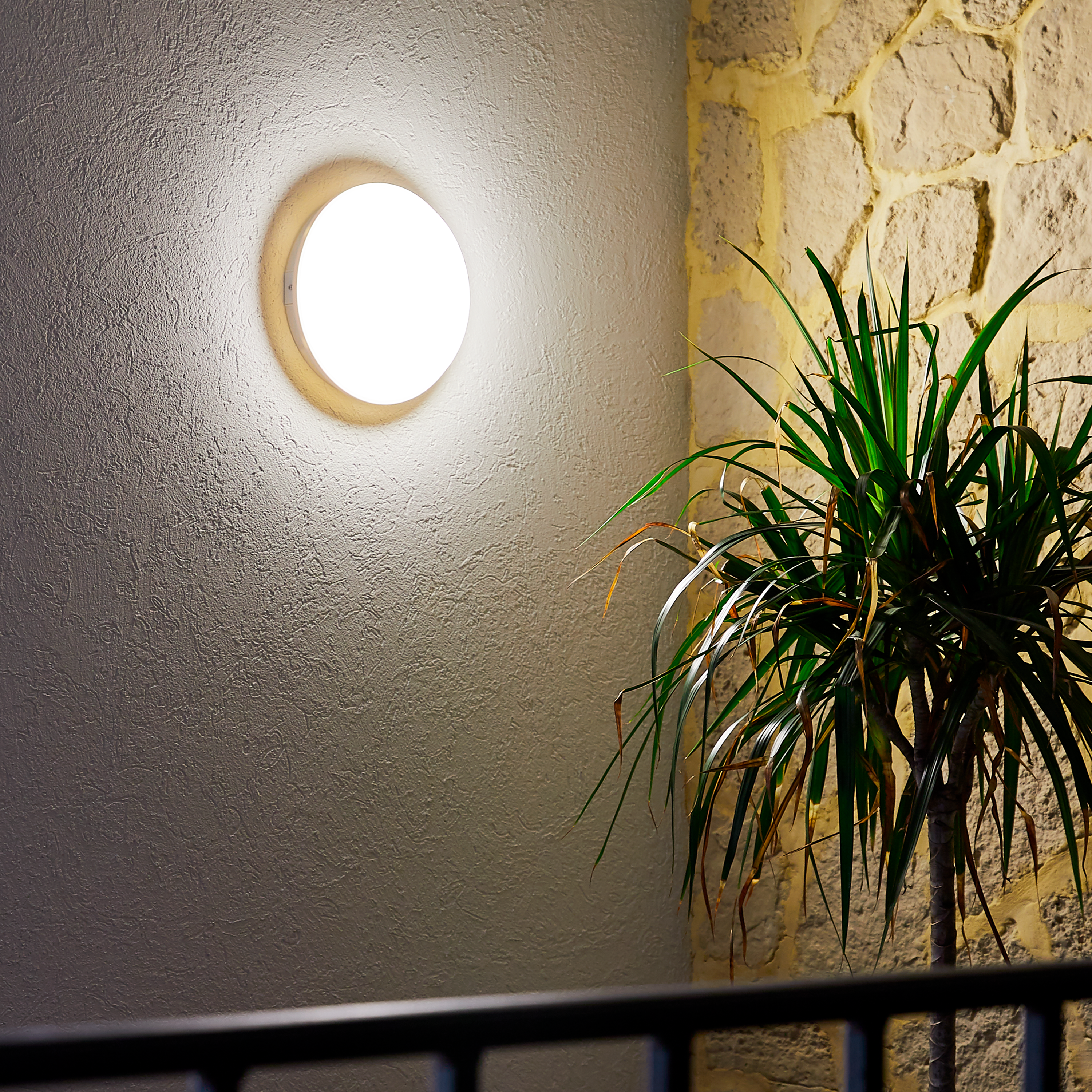 Hublot extérieur IP65 Led rond D.25 cm 1620 Lm blanc neutre, Ezy blanc INSPIRE - 2