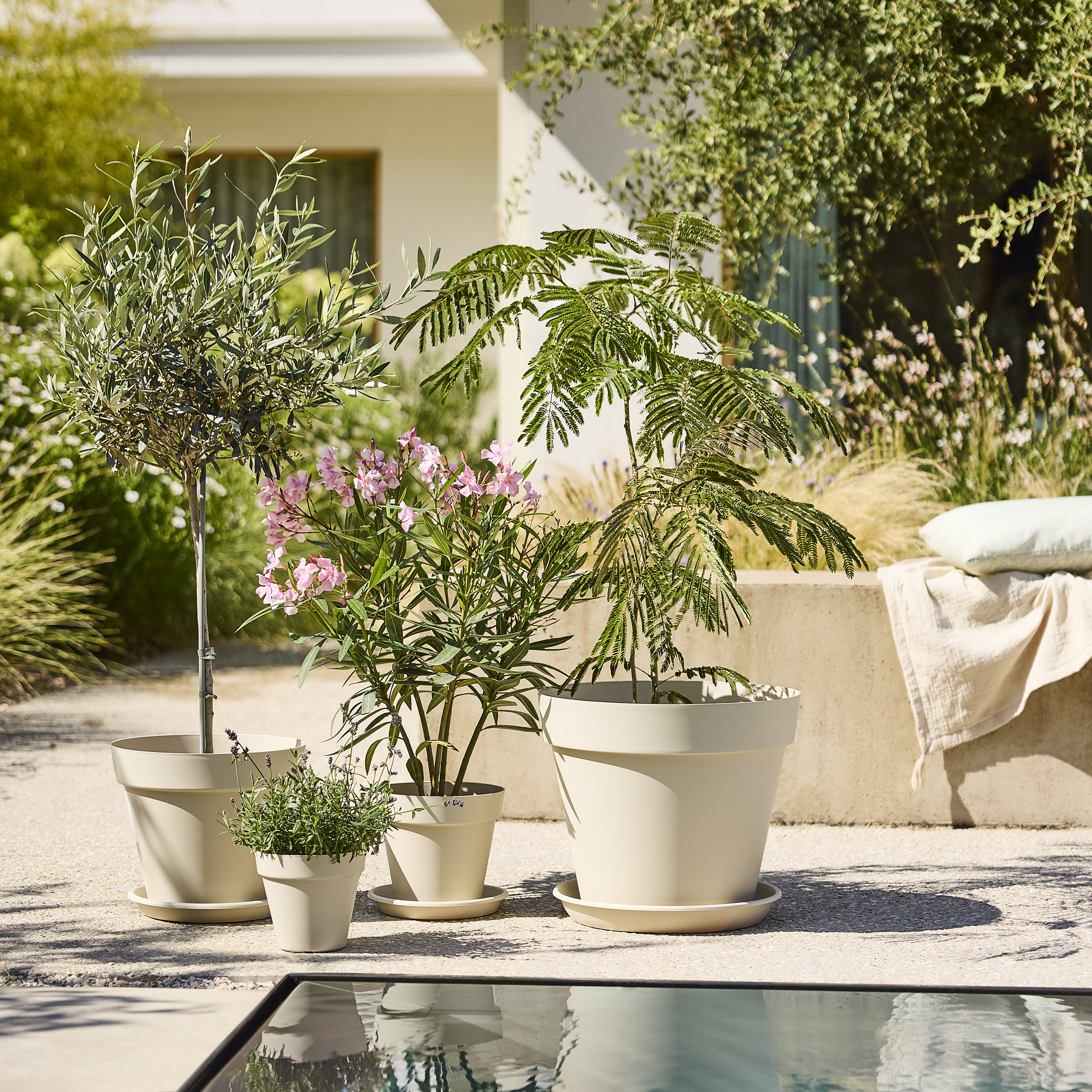 Soucoupe pour pot de fleurs et plantes blanc GEOLIA D.35 cm - 3