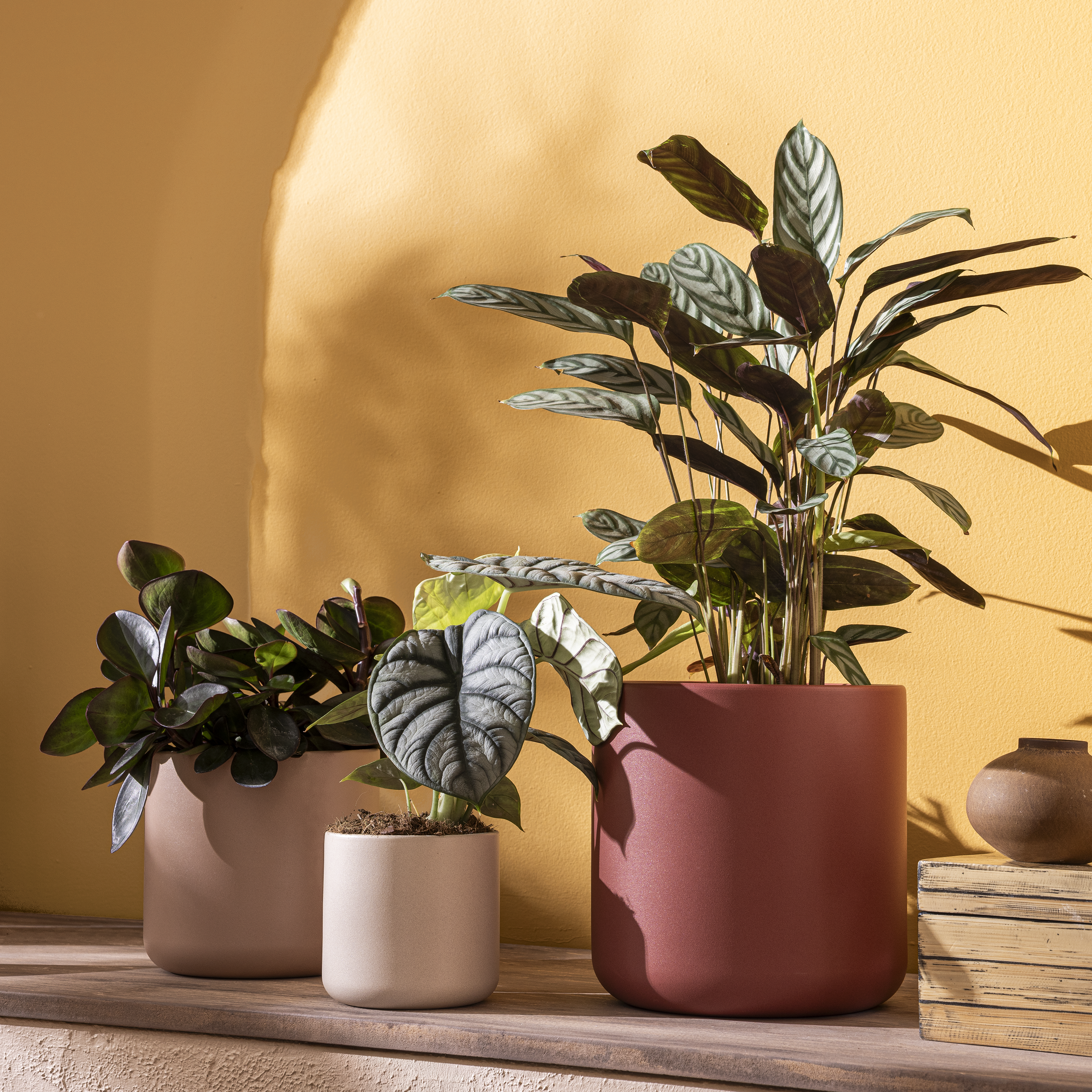 Vaso de cerâmica Geolia Rosália ø18cm creme - 4
