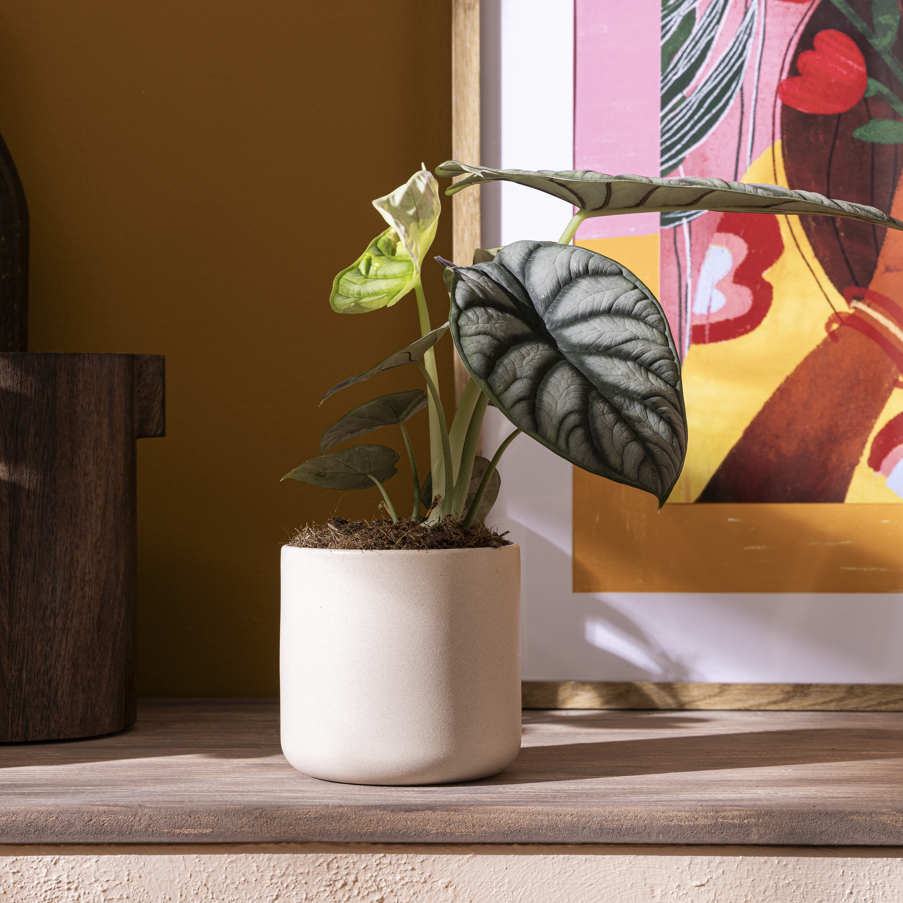 Vaso de cerâmica Geolia Rosália ø12cm bege - 3