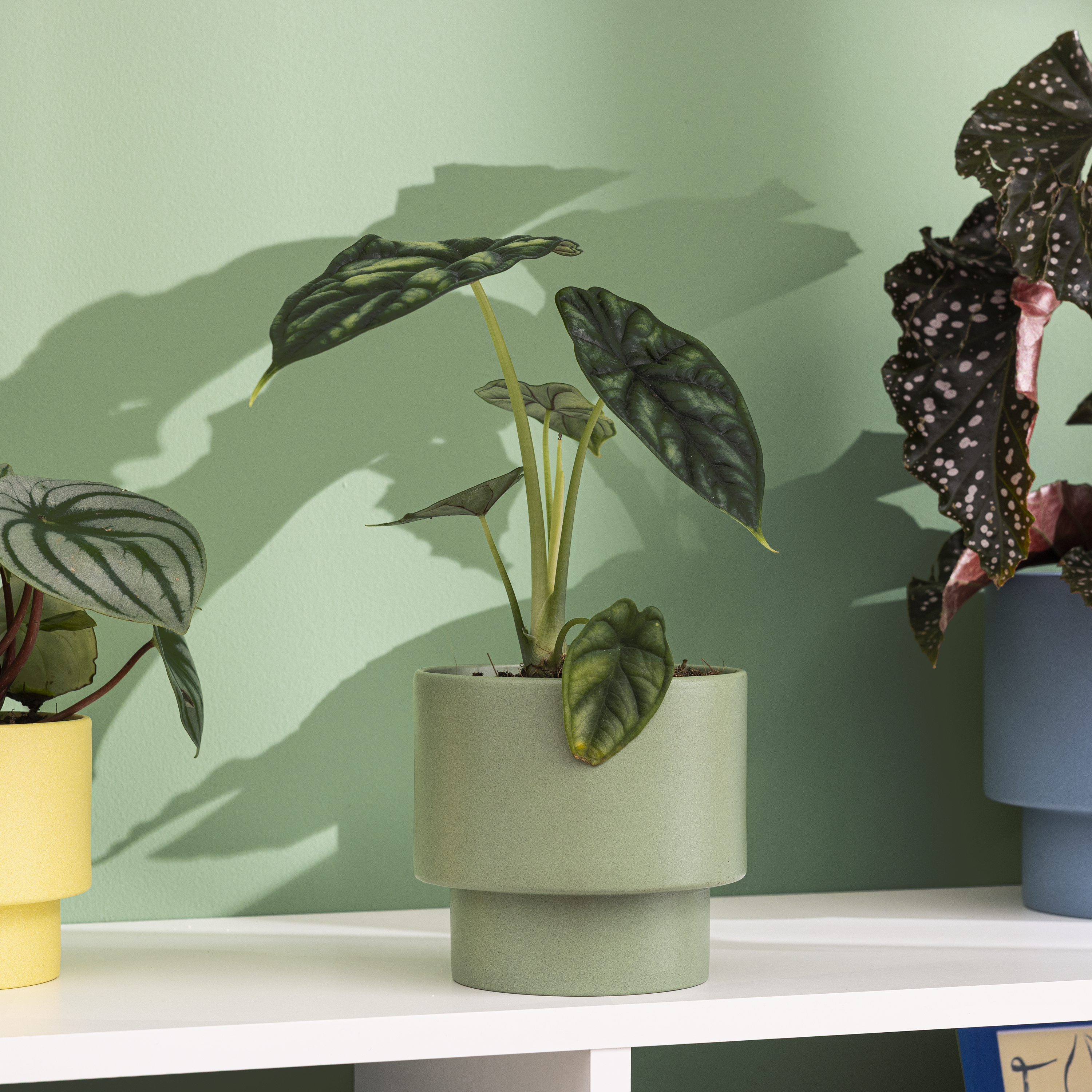 	
Vaso cerâmica Geolia Cuzco ø14cm verde - 3