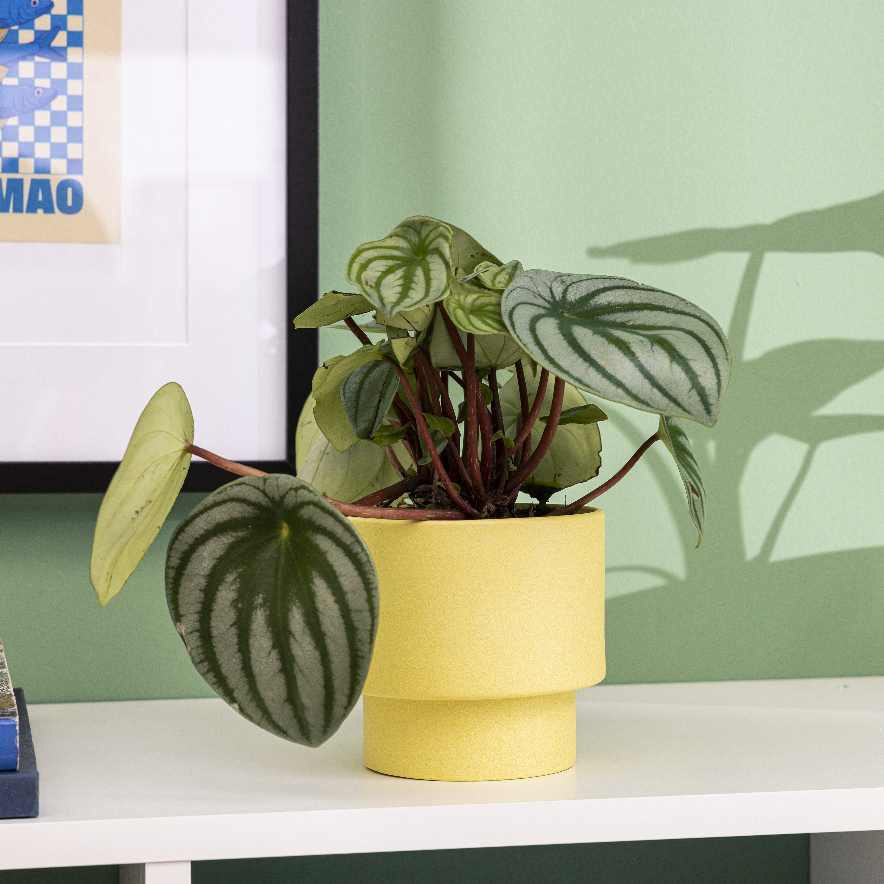 	
Vaso cerâmica Geolia Cuzco ø12cm amarelo - 3