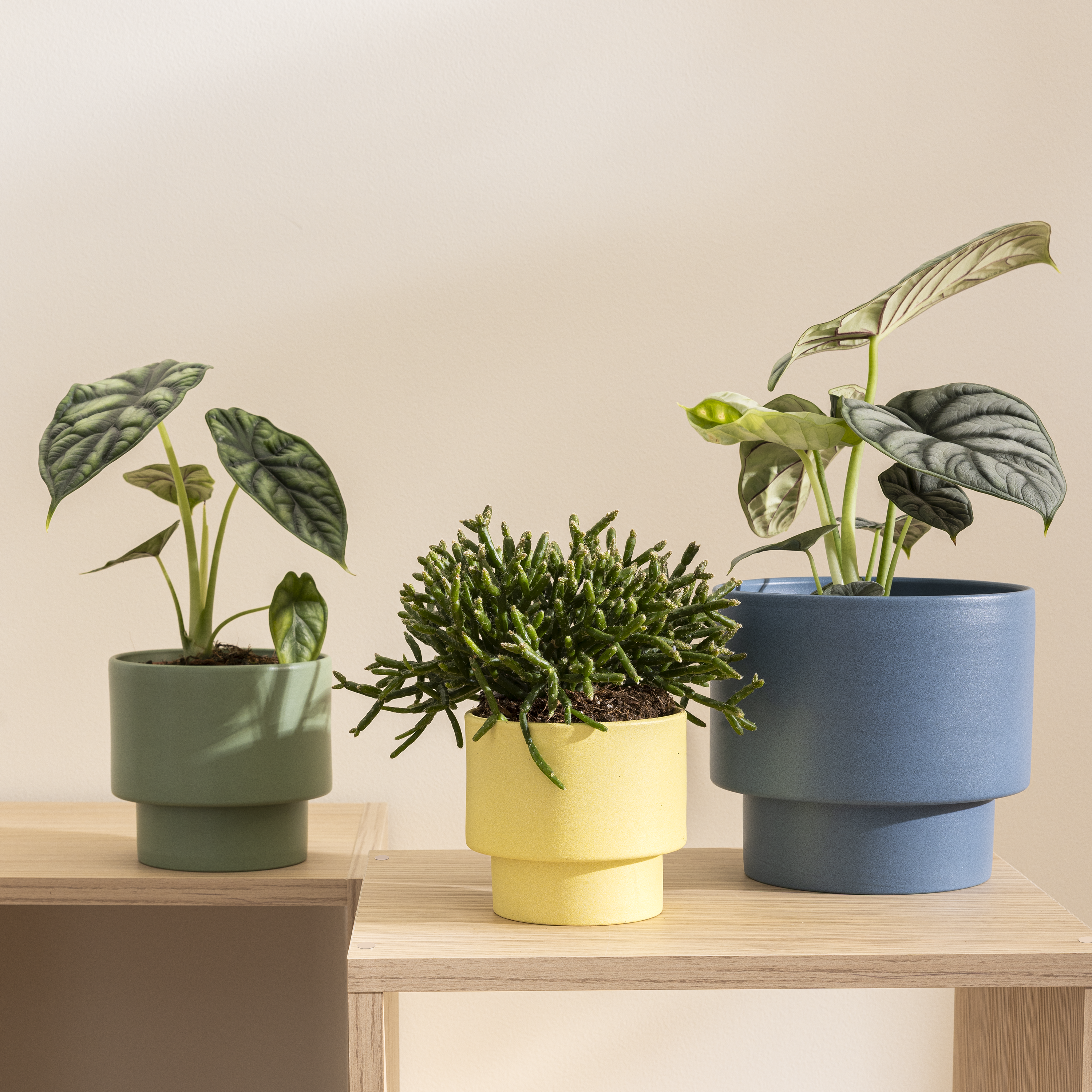 	
Vaso cerâmica Geolia Cuzco ø14cm verde - 5