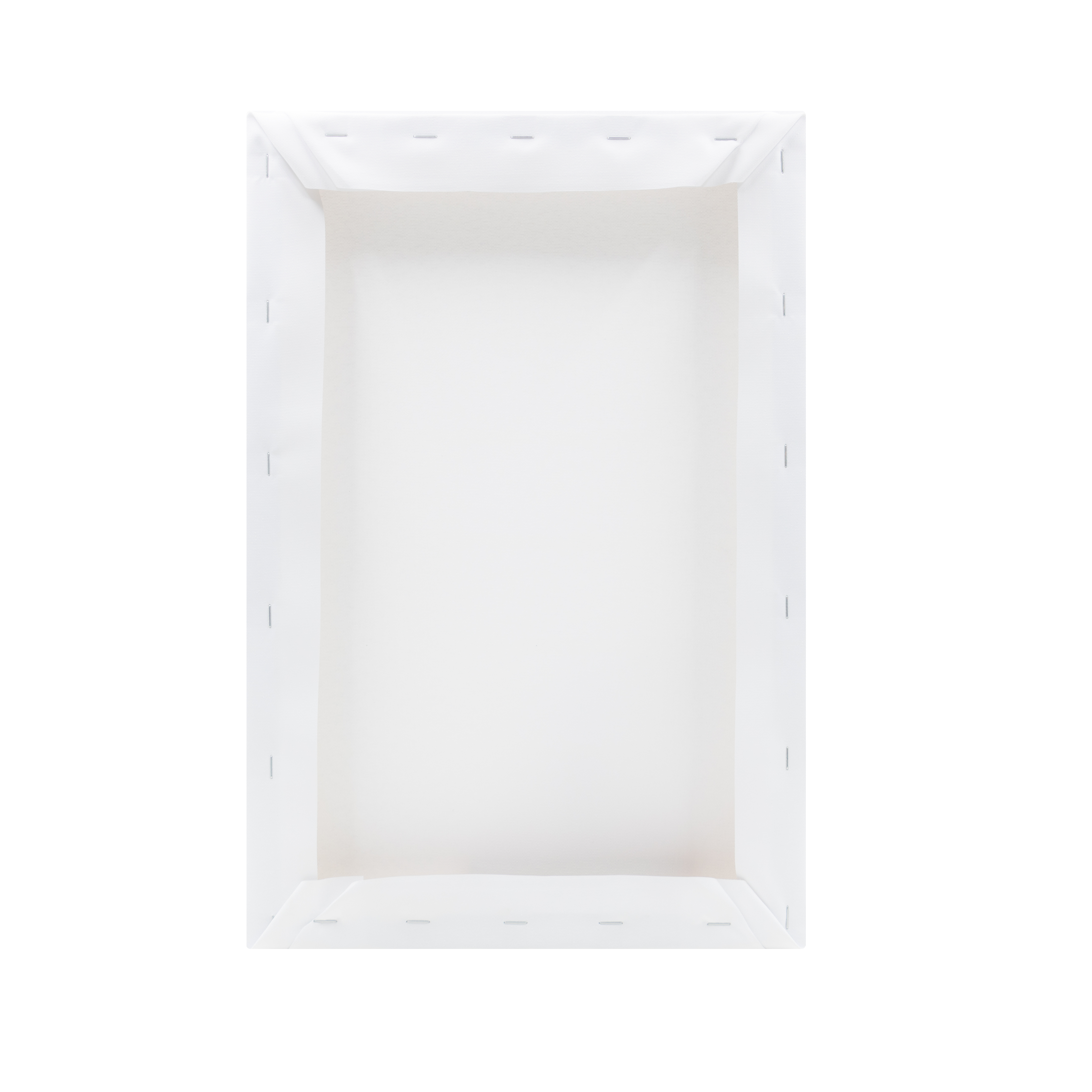 Toile Trone du lion, multicouleur CEANOTHE l.30 x H.44.5 cm - 3