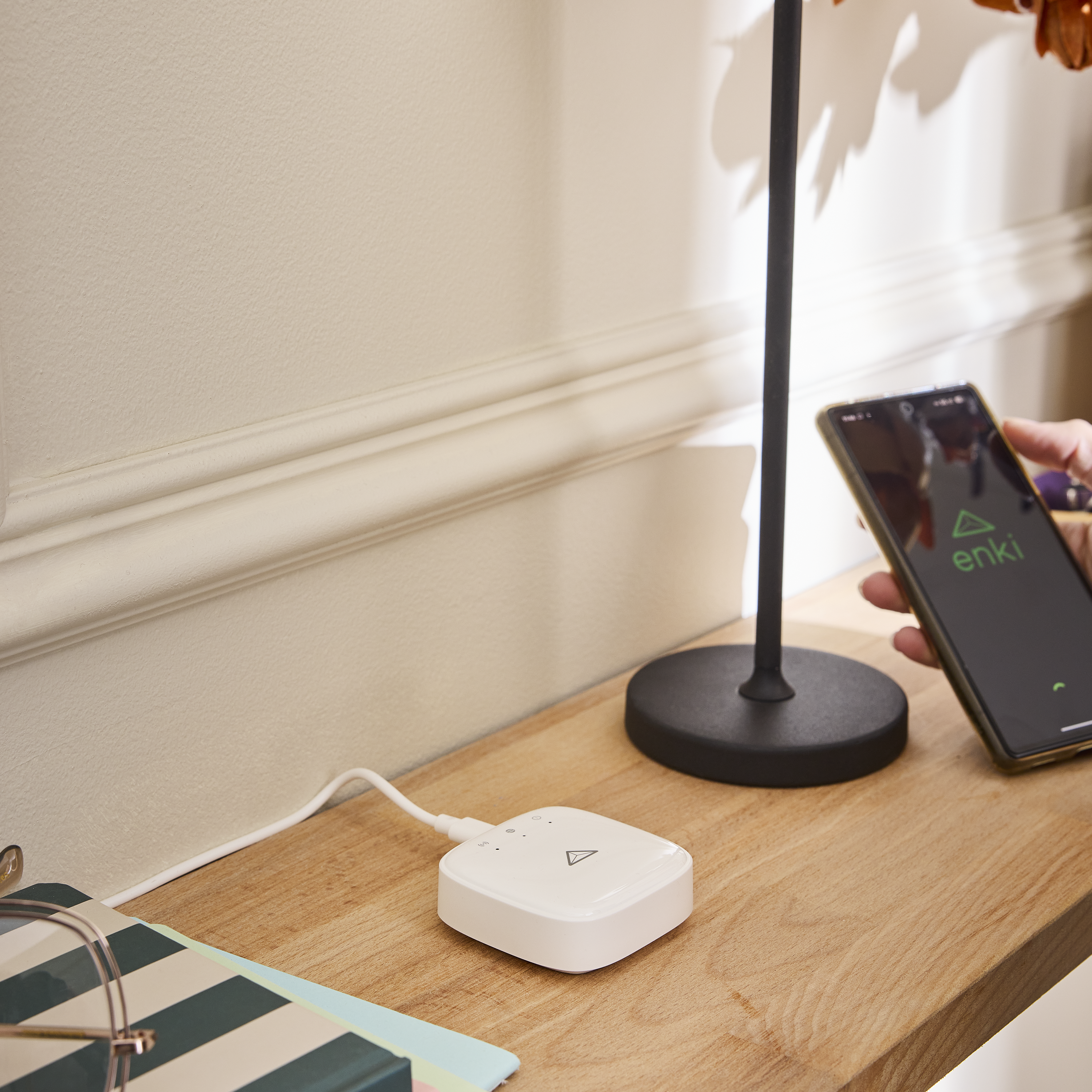 Caixa domótica ENKI - 10